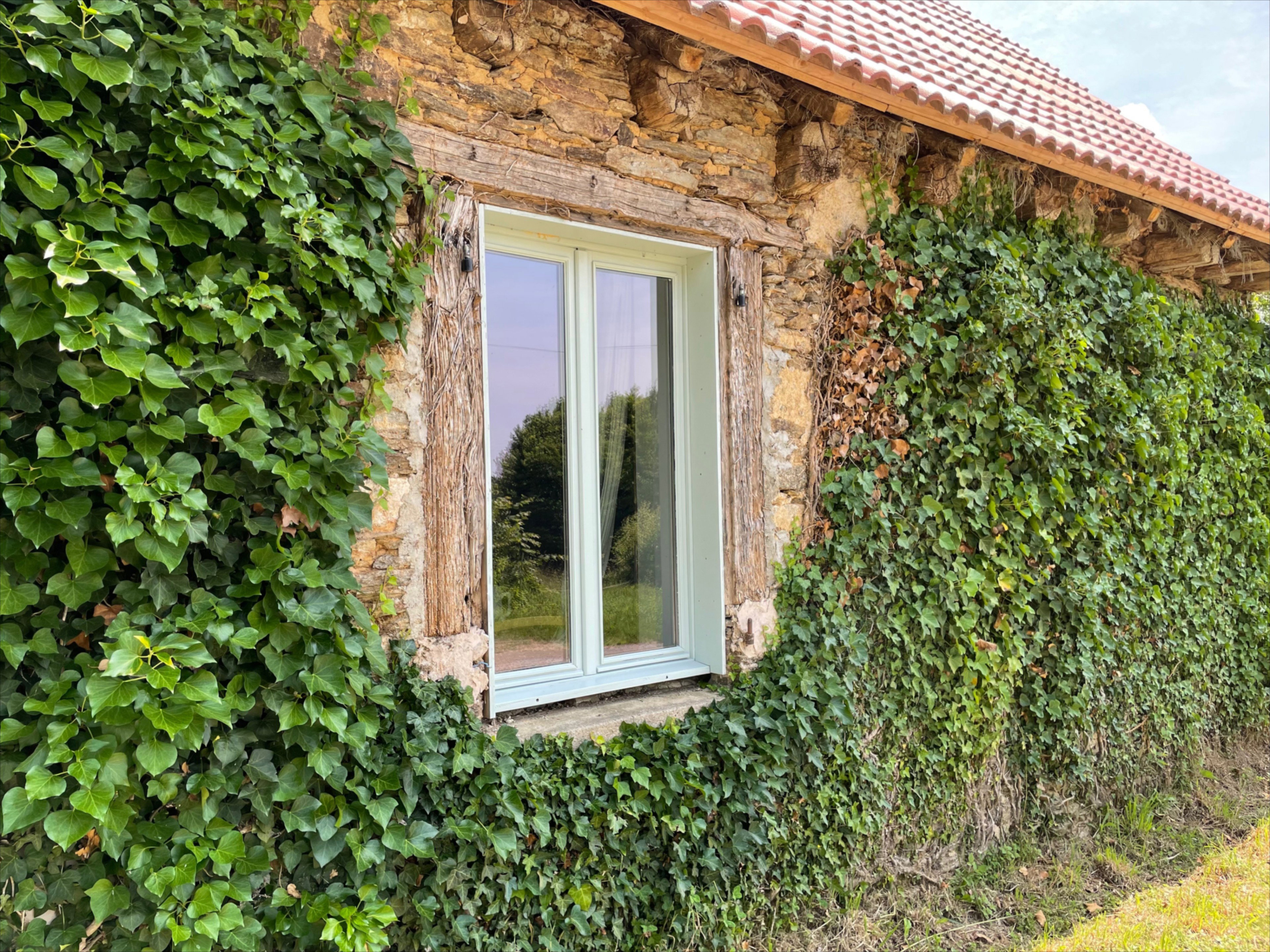 - image: 54
