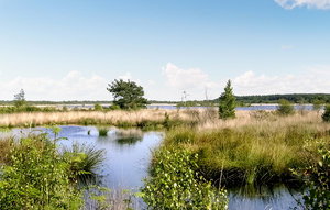 Natuurhuisje in Oosterwolde