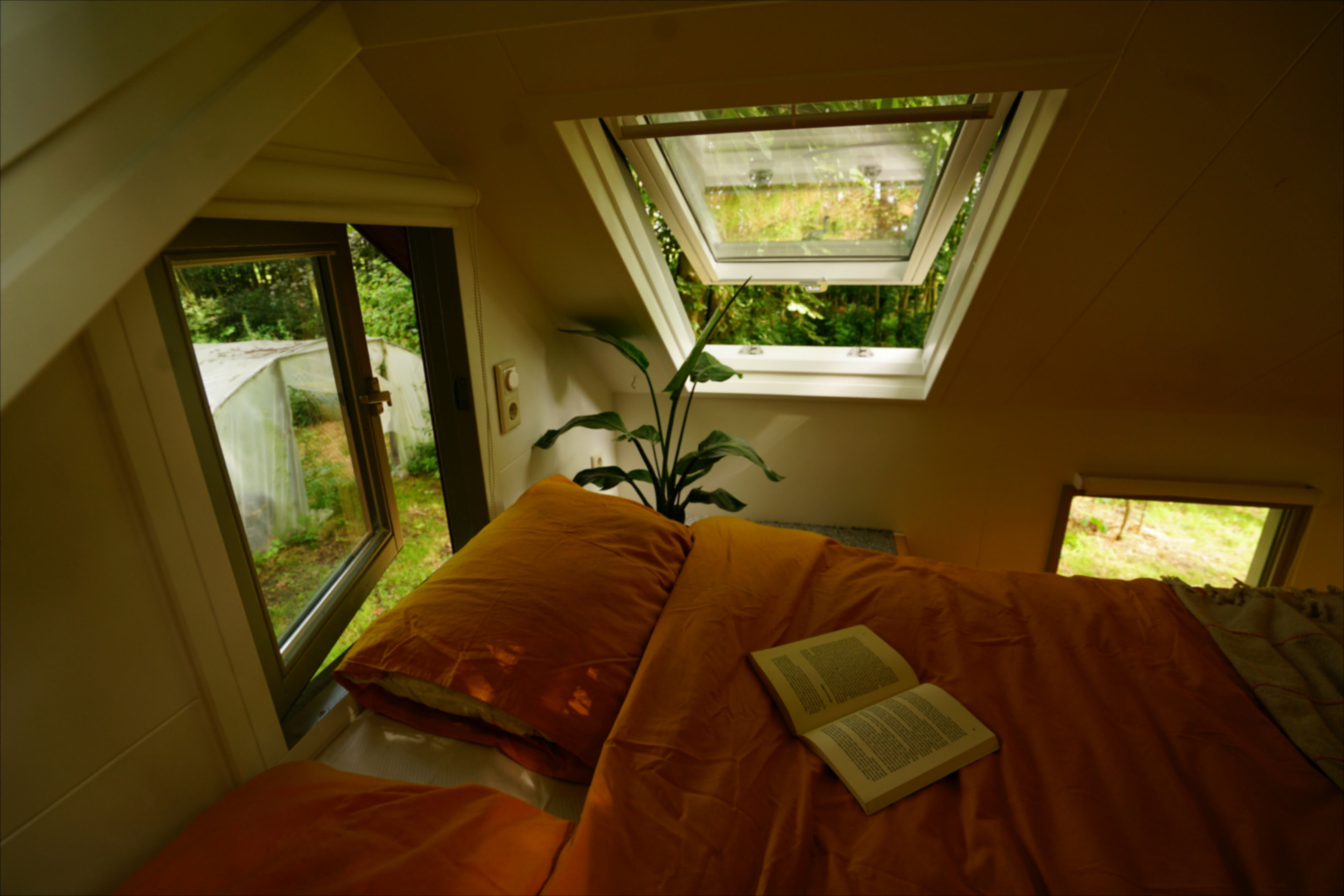 - image: 17
