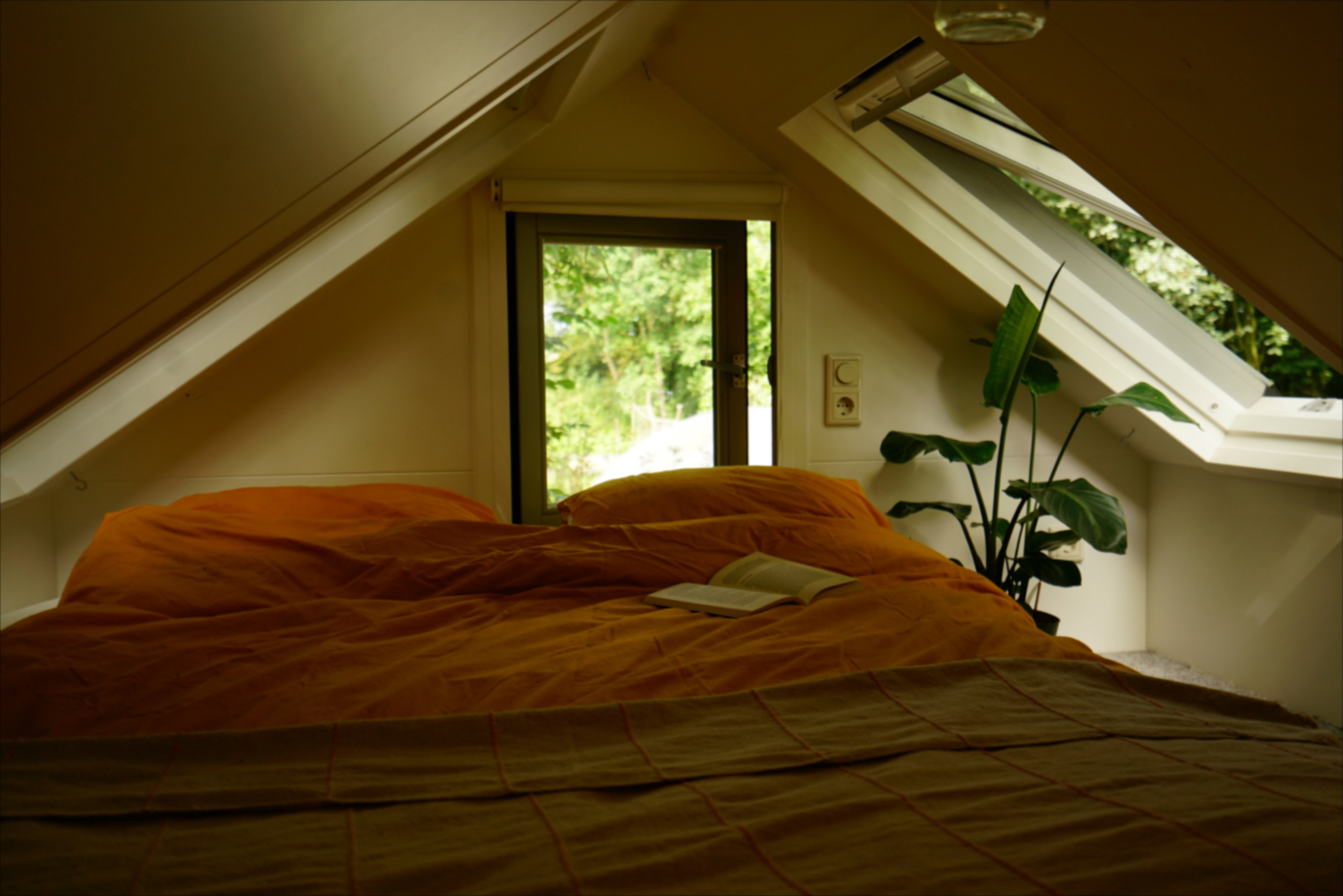 - image: 14