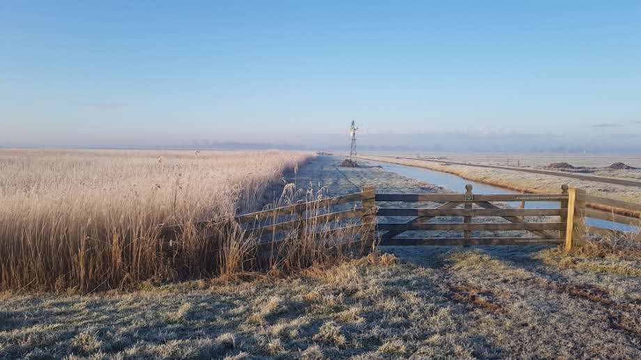 Naturhäuschen in Eernewoude