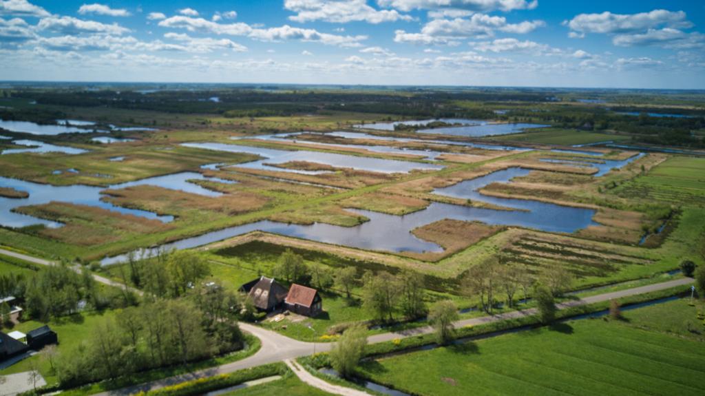 Naturhäuschen in Eernewoude
