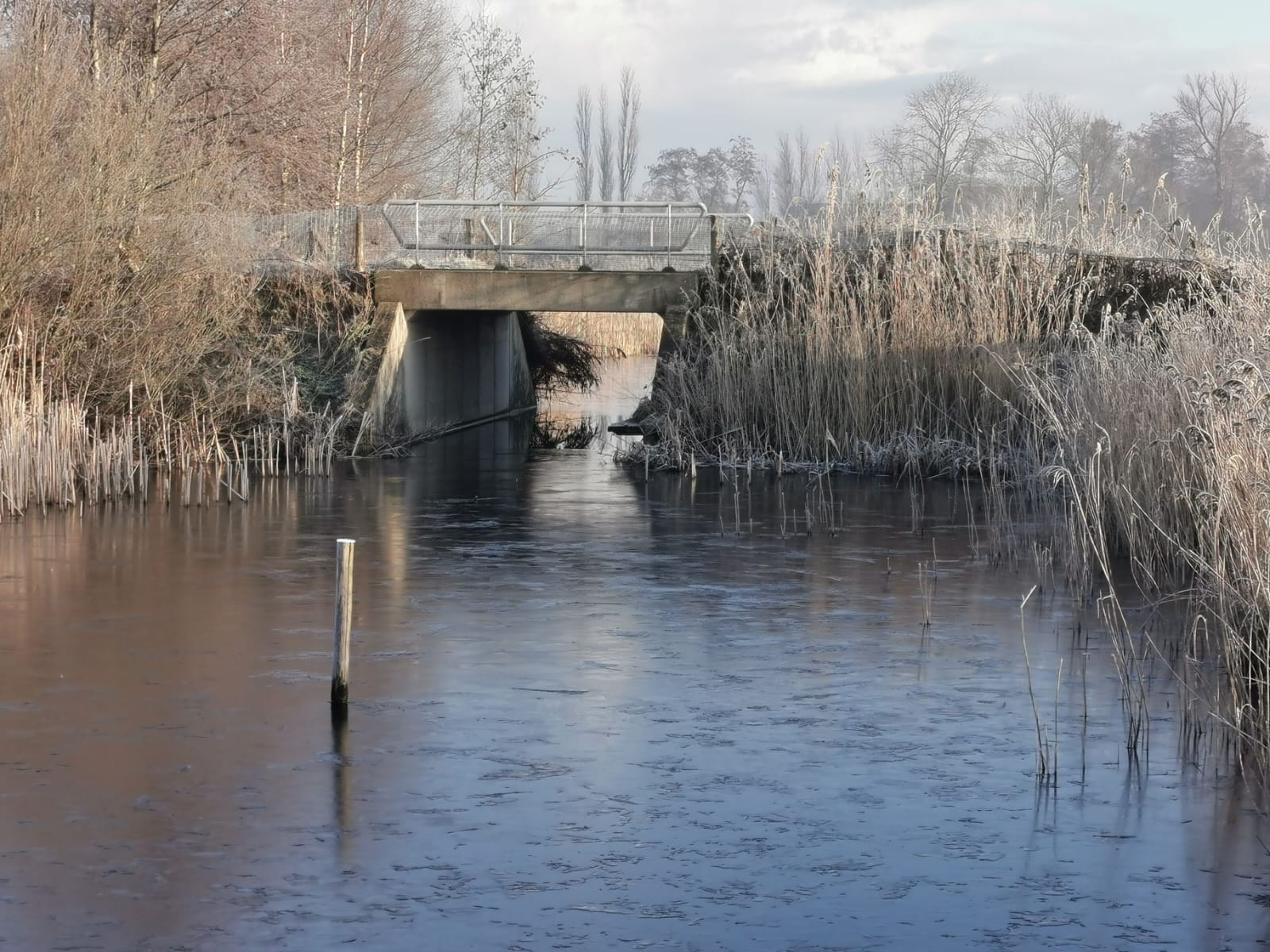 Naturhäuschen in Eernewoude
