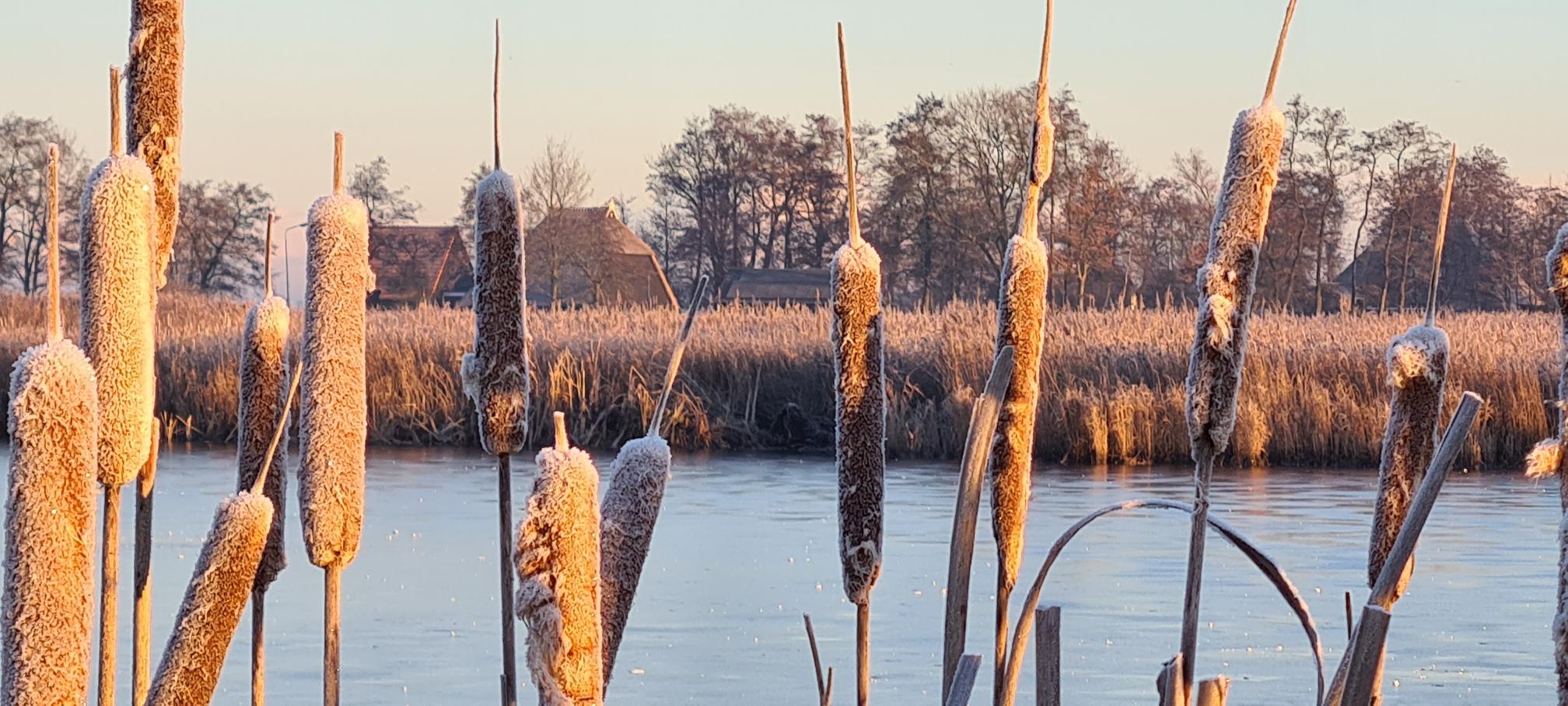 Naturhäuschen in Eernewoude