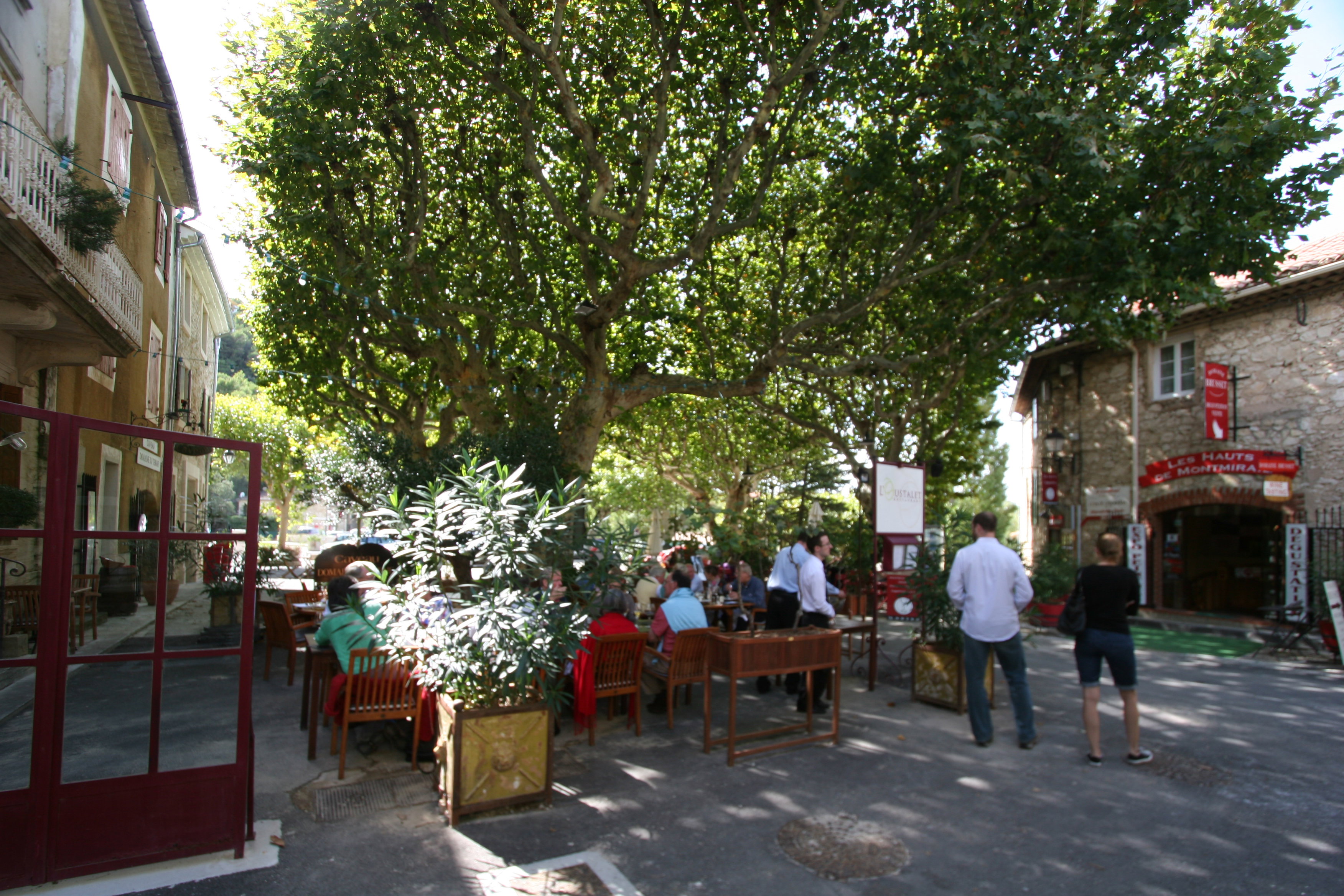 - image: 16
