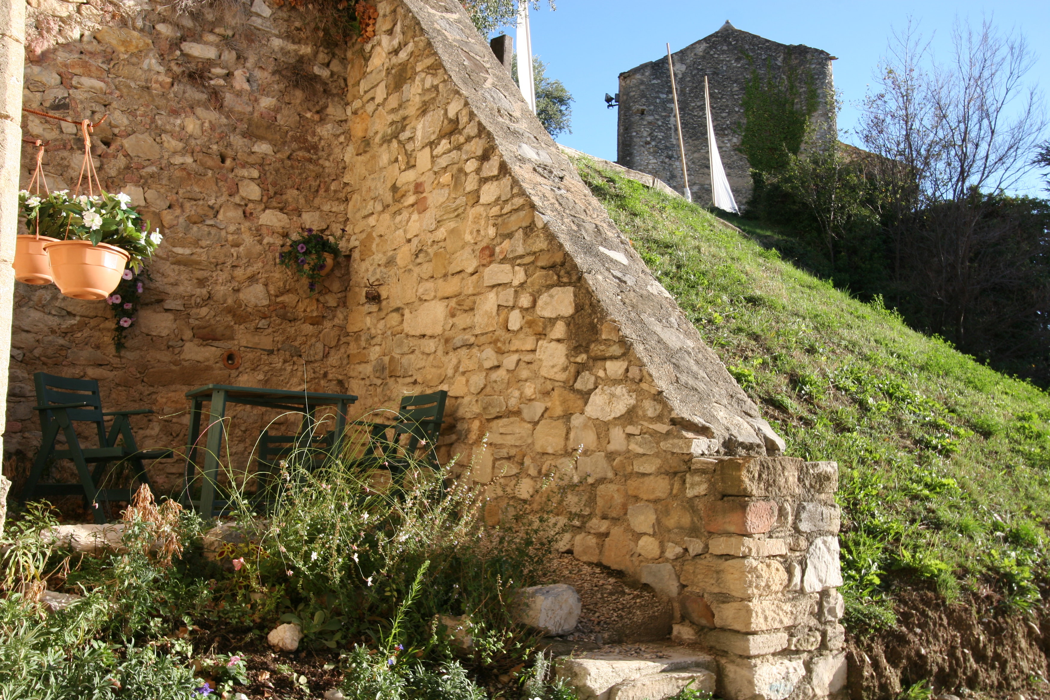 - image: 12