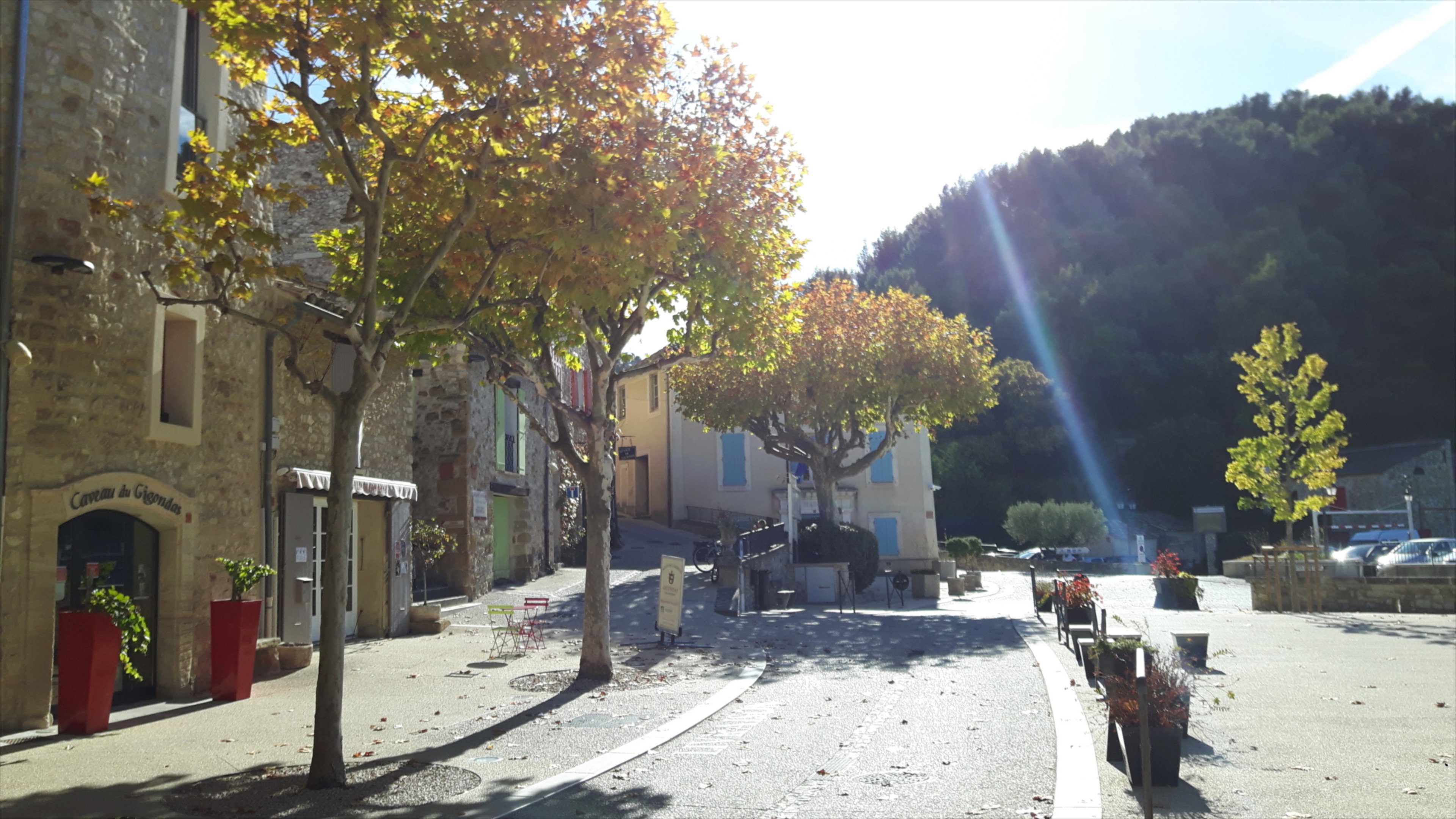 - image: 15