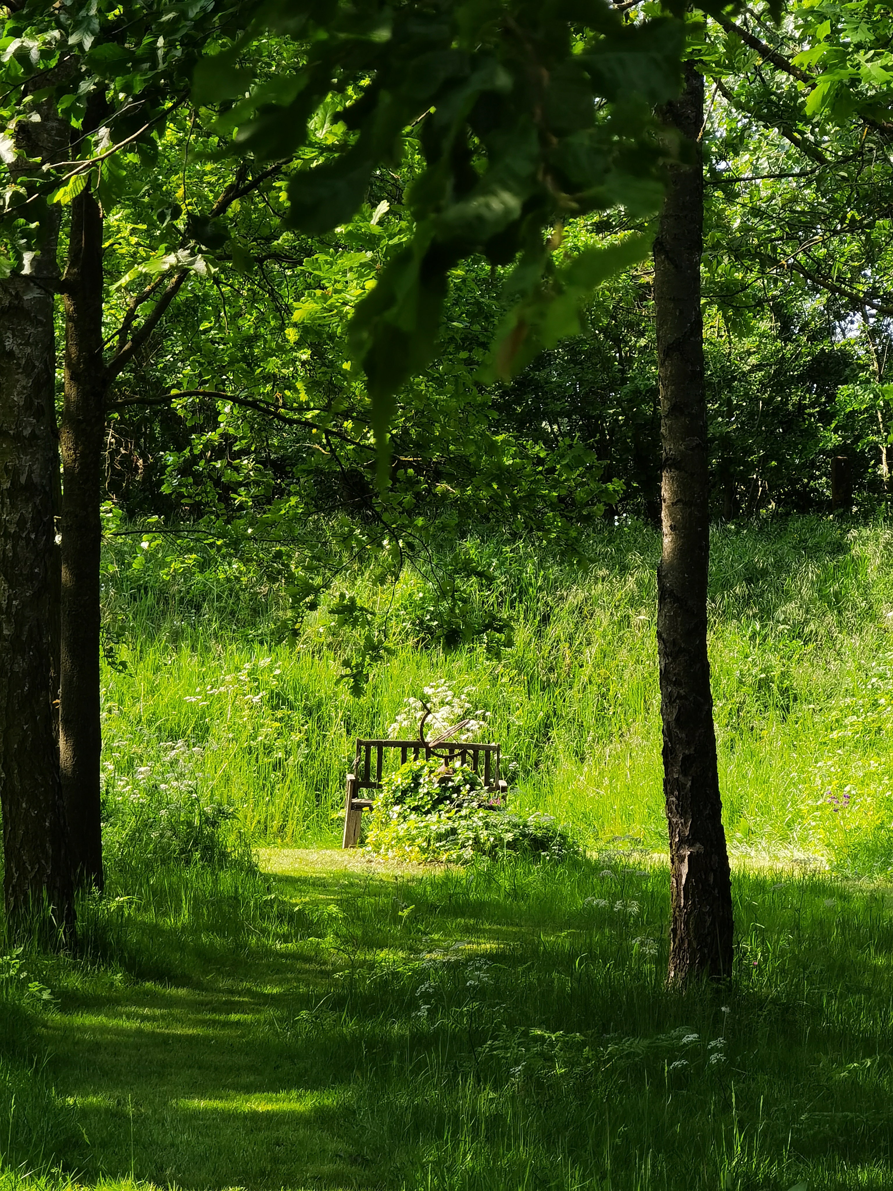 Natuurhuisje in Goedereede