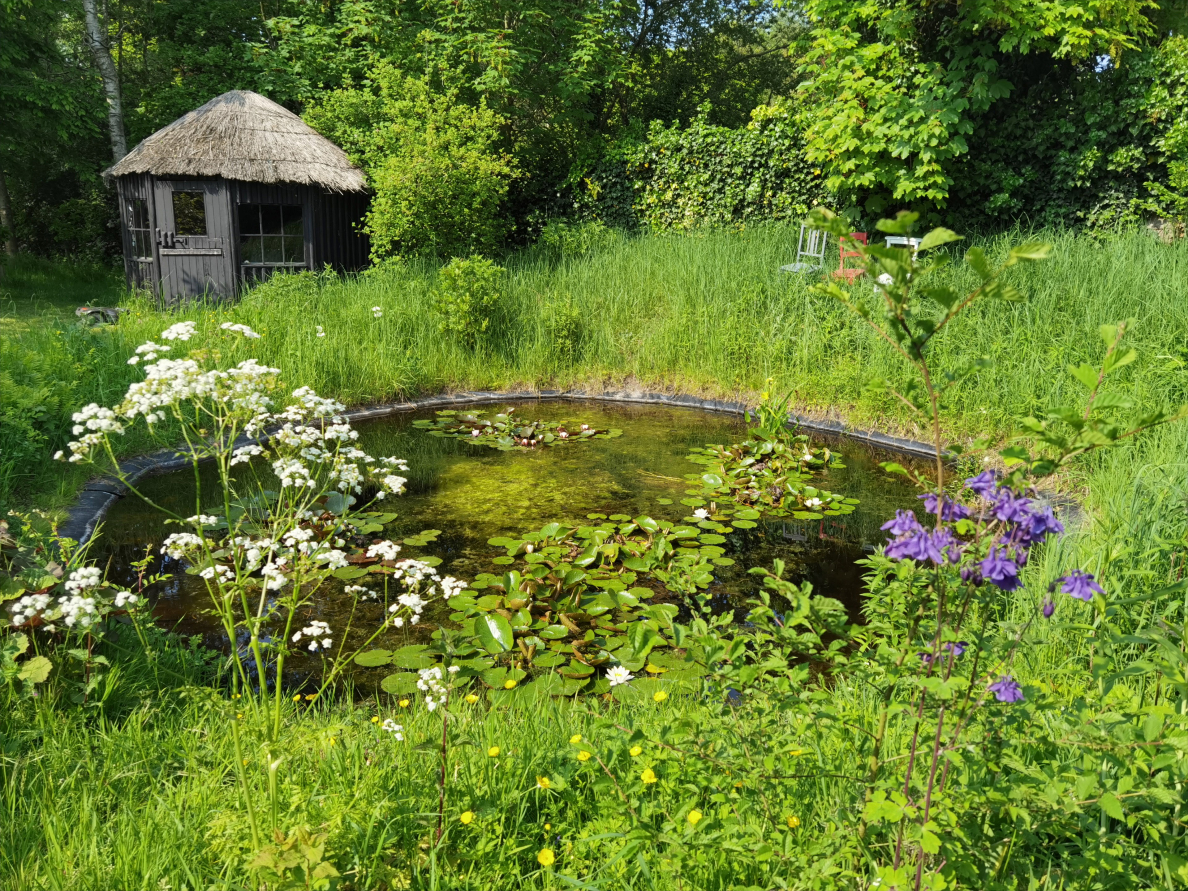 Natuurhuisje in Goedereede