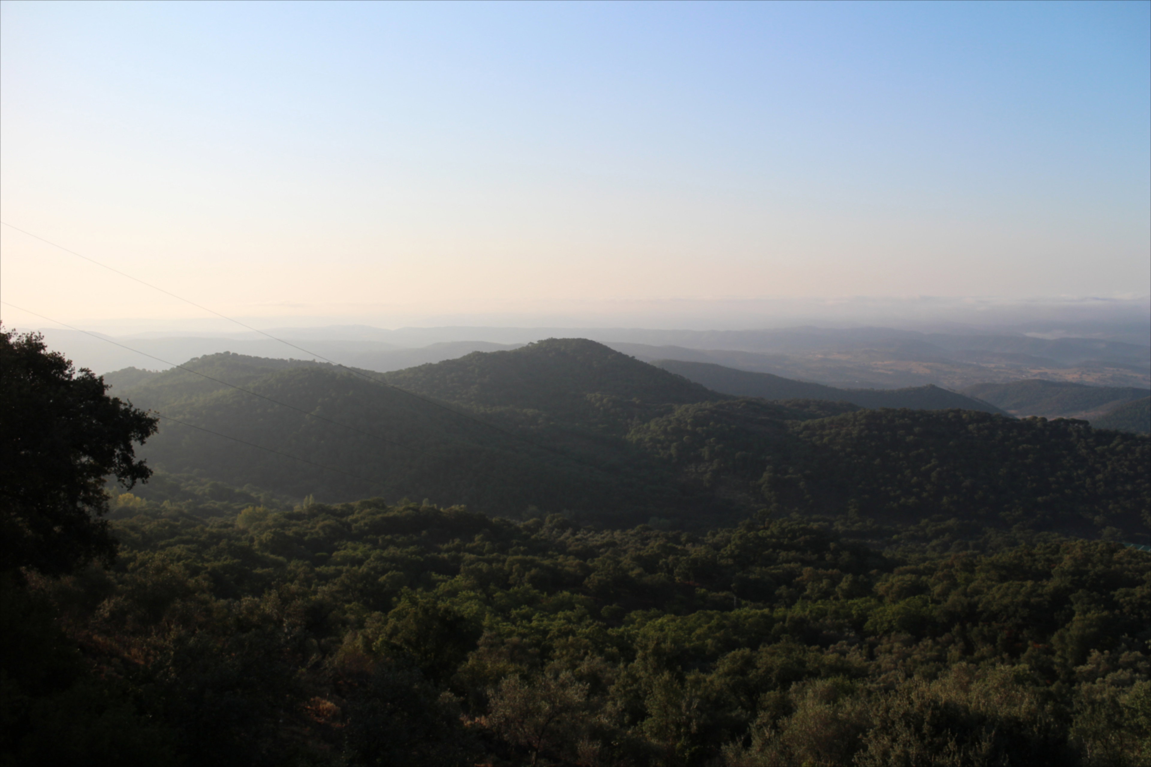 - image: 11