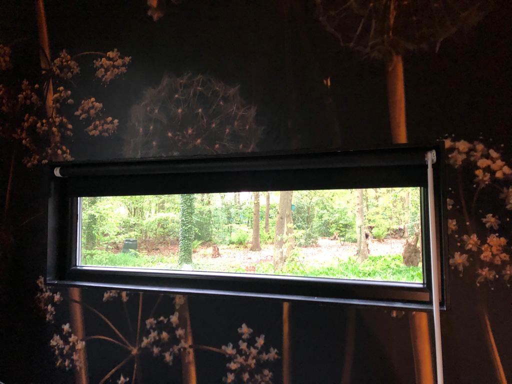 Natuurhuisje in Dalfsen