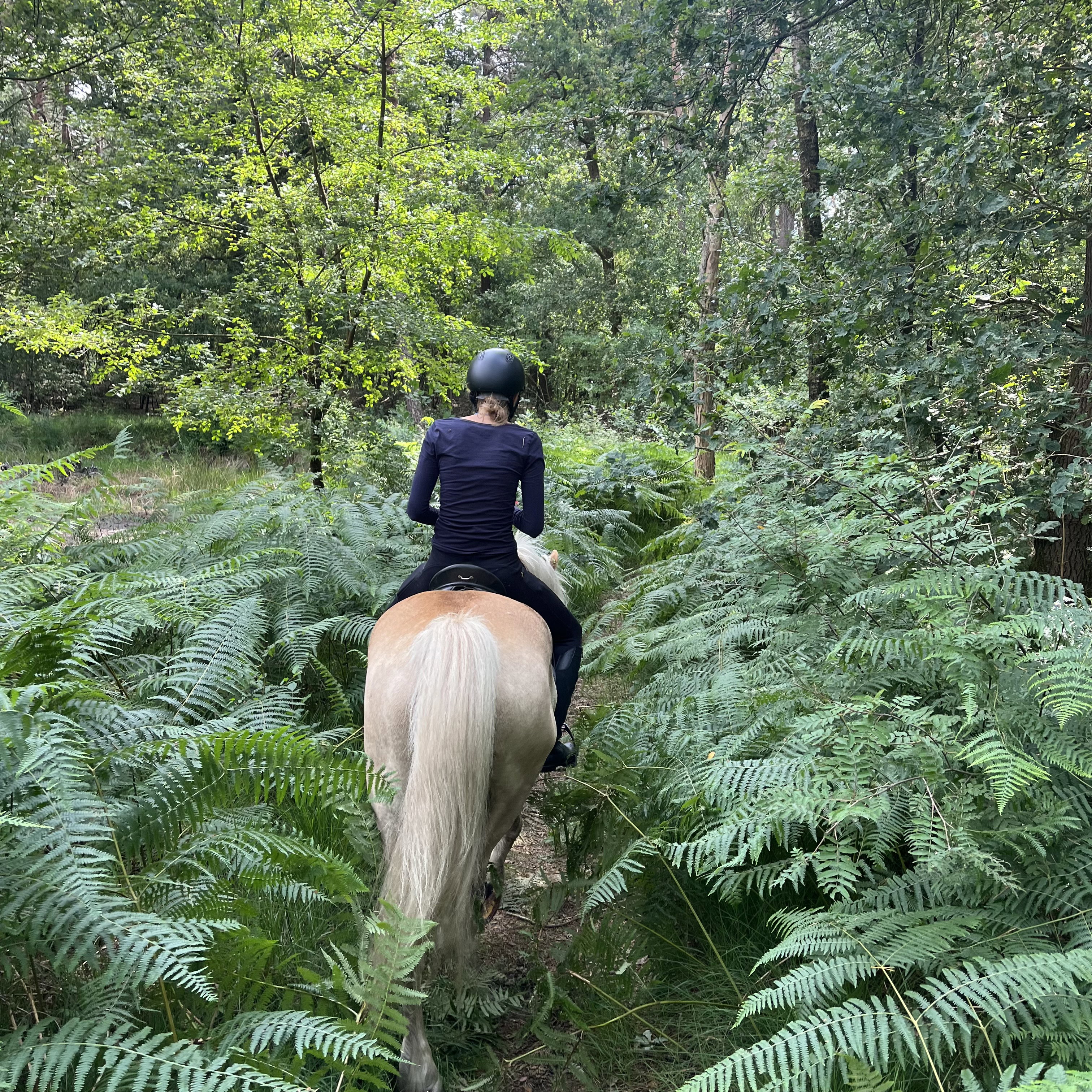 - image: 22