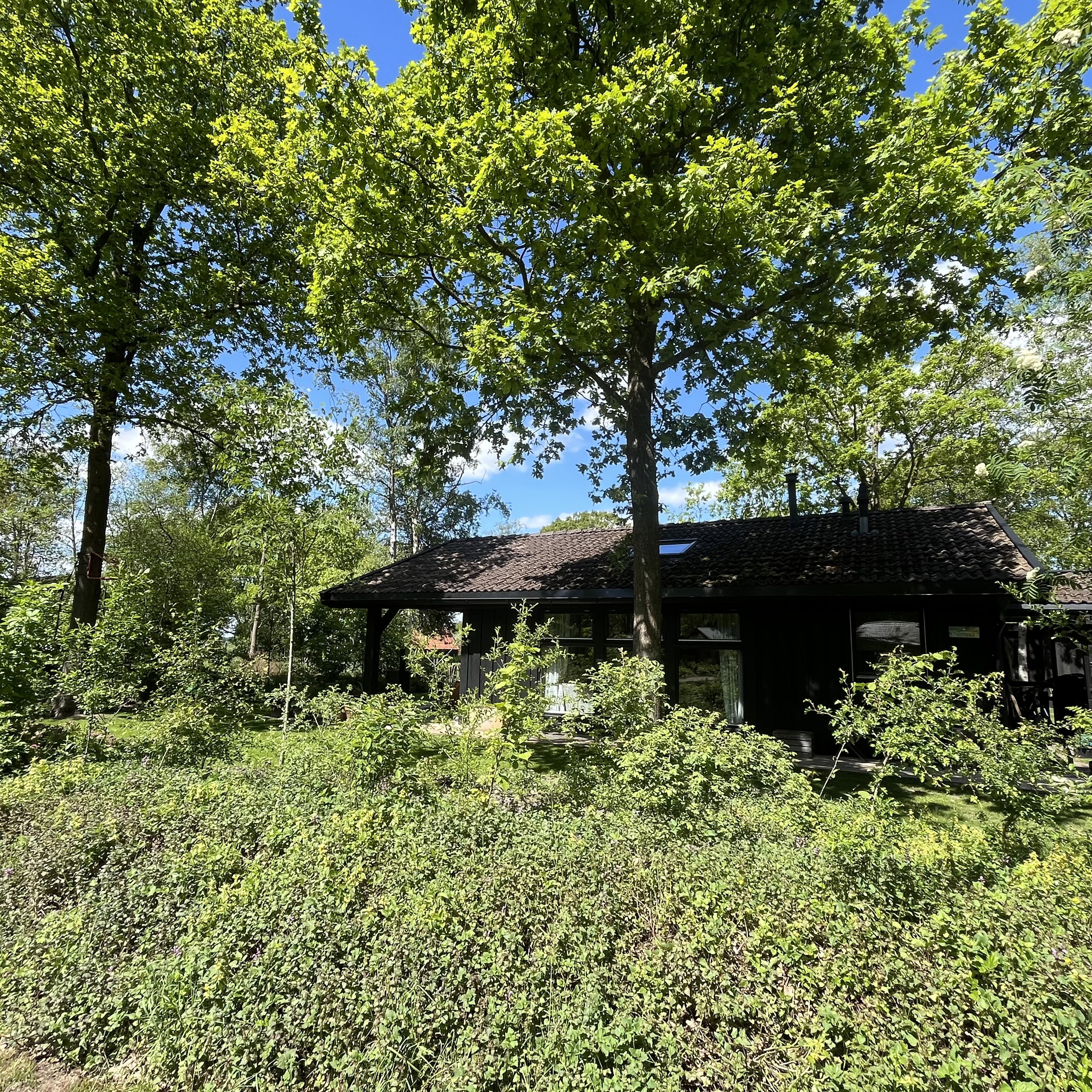 Natuurhuisje in Dwingeloo