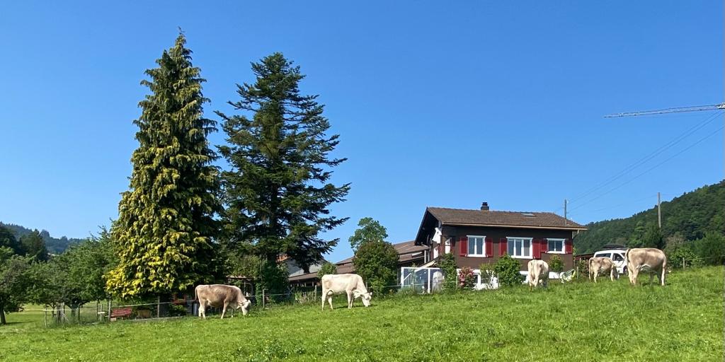 Natuurhuisje in Grub - Sankt Gallen