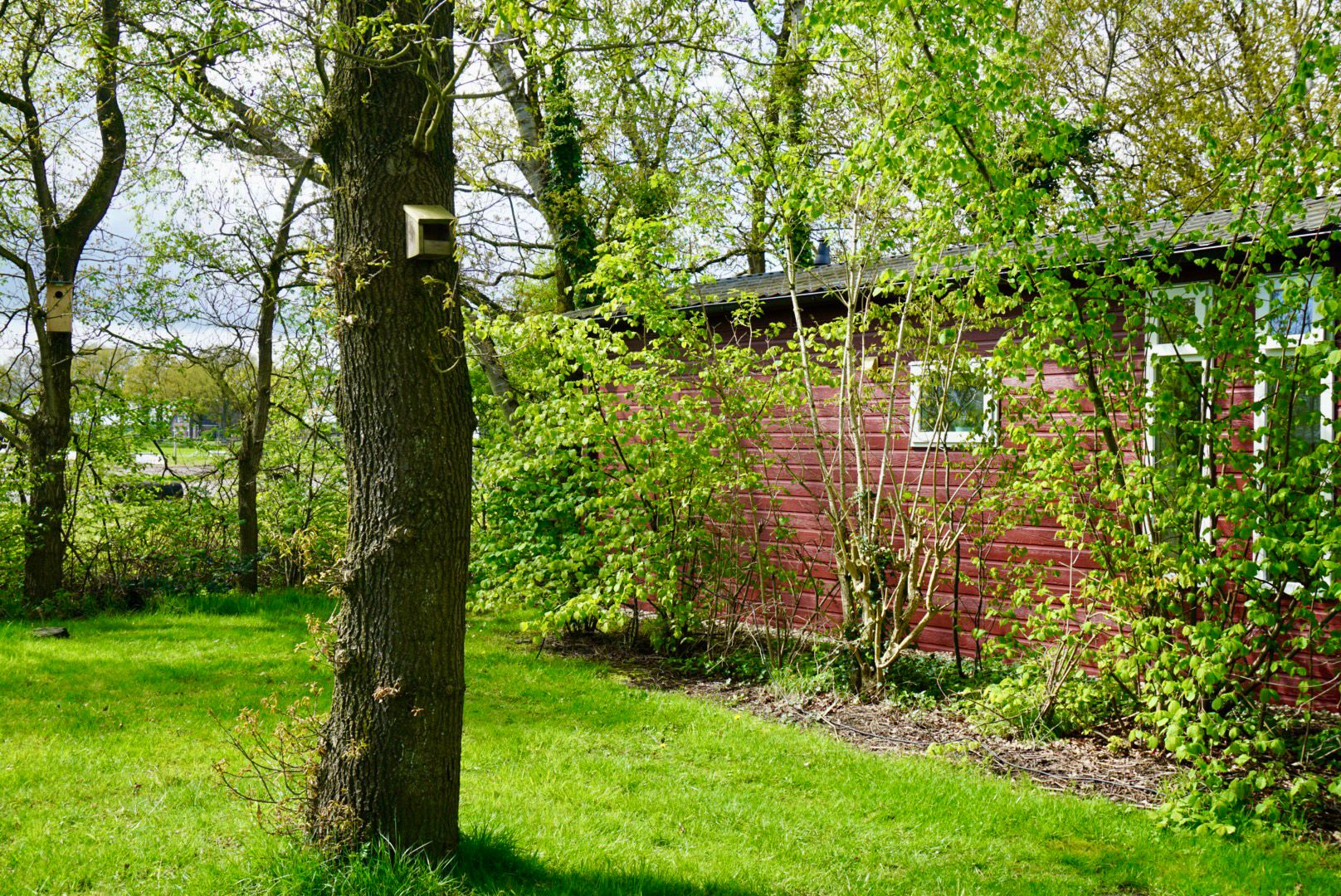 Naturhäuschen in Oosterwolde