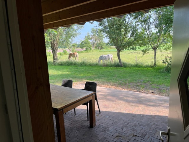 Naturhäuschen in Doetinchem