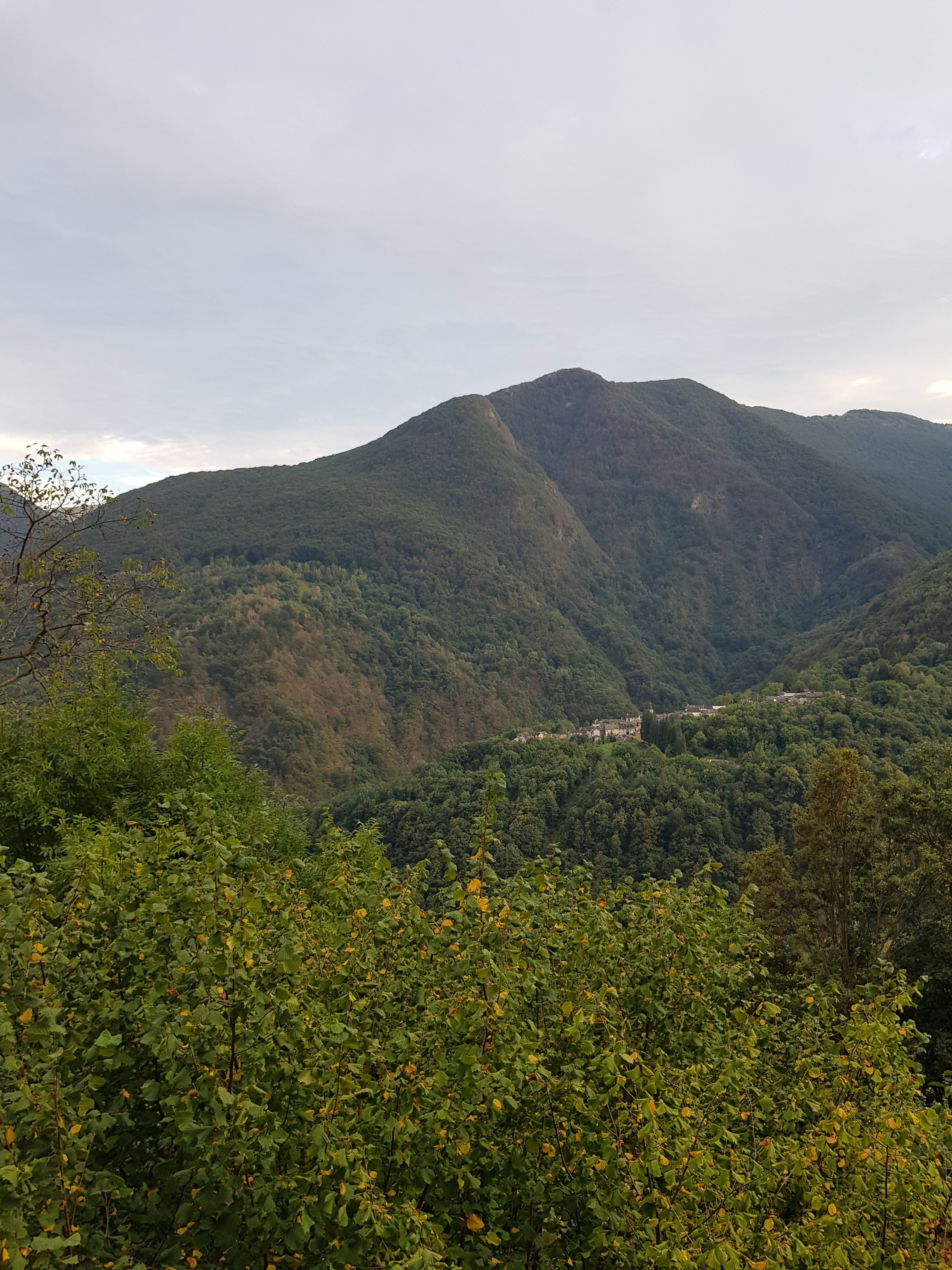 - image: 22