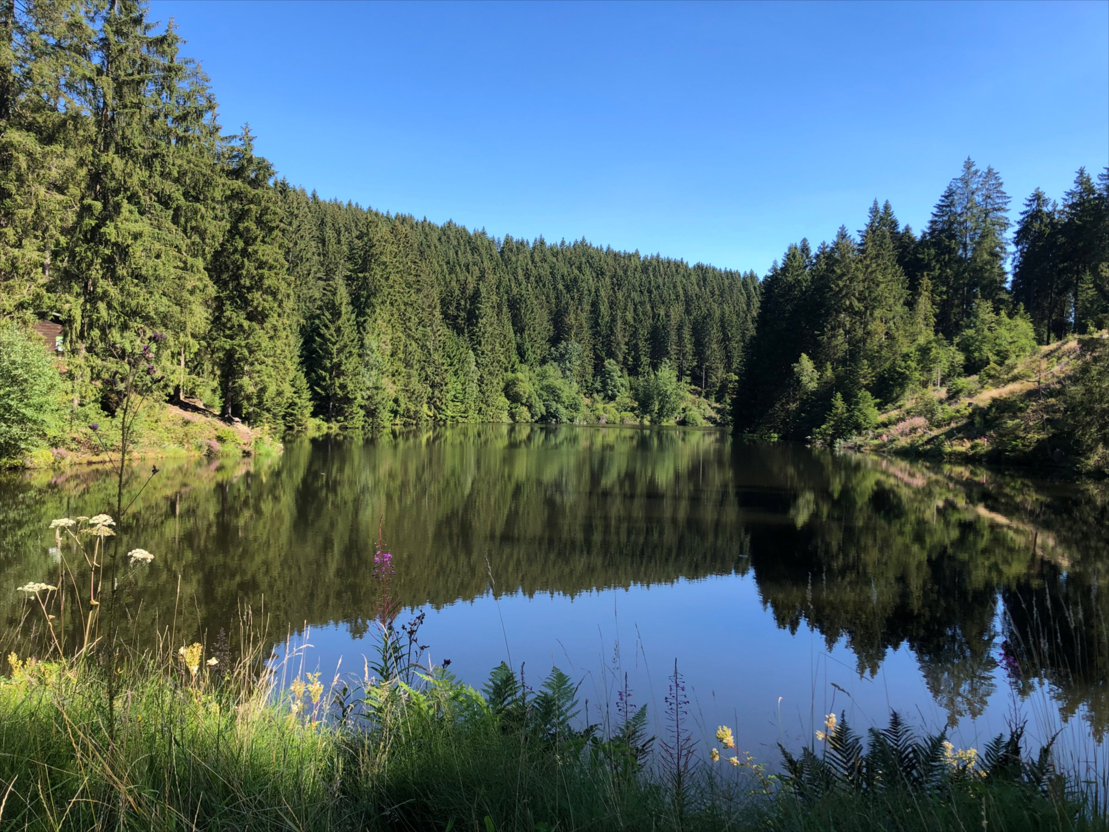 - image: 31
