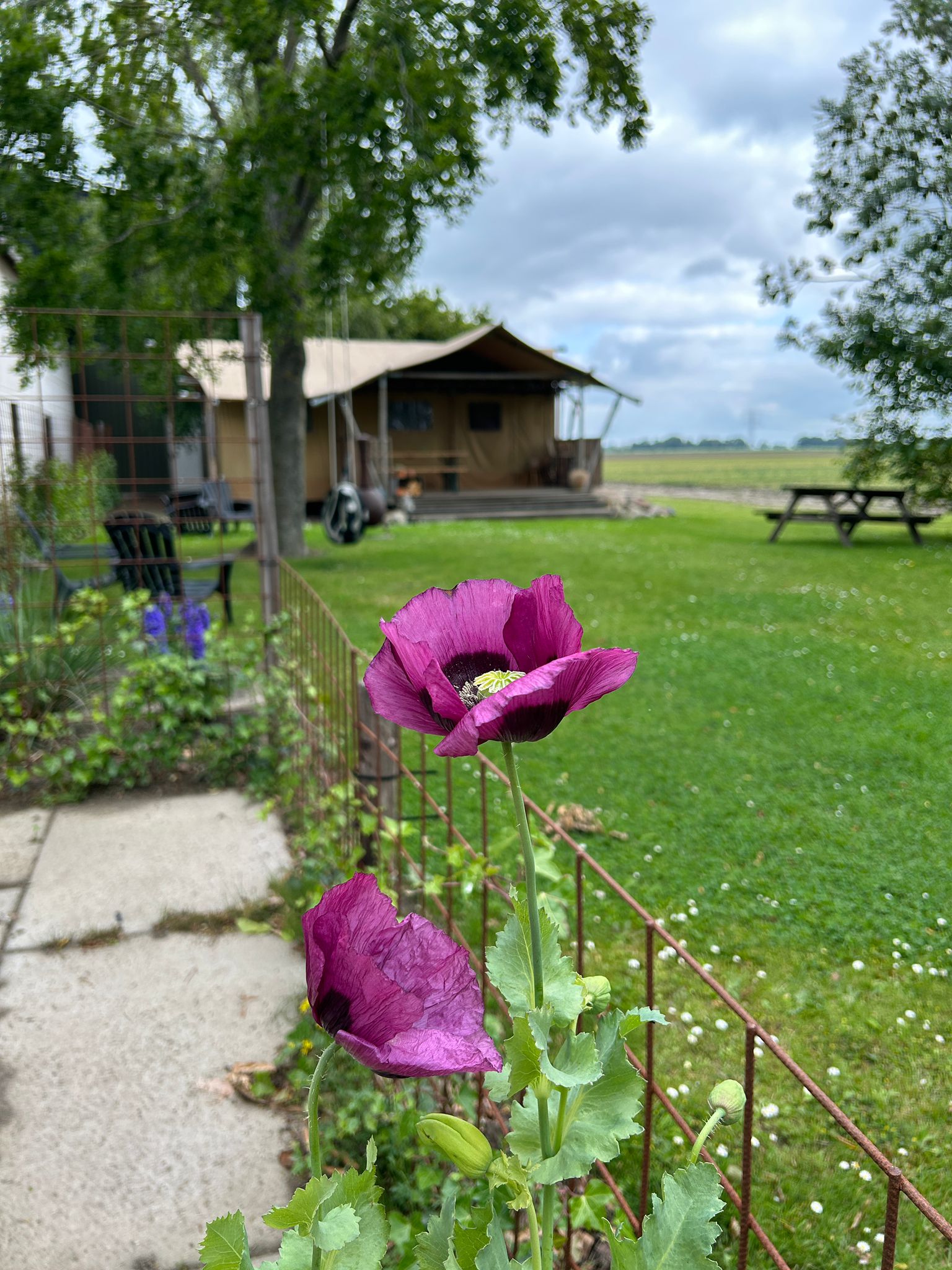 Casa nella natura a Marknesse