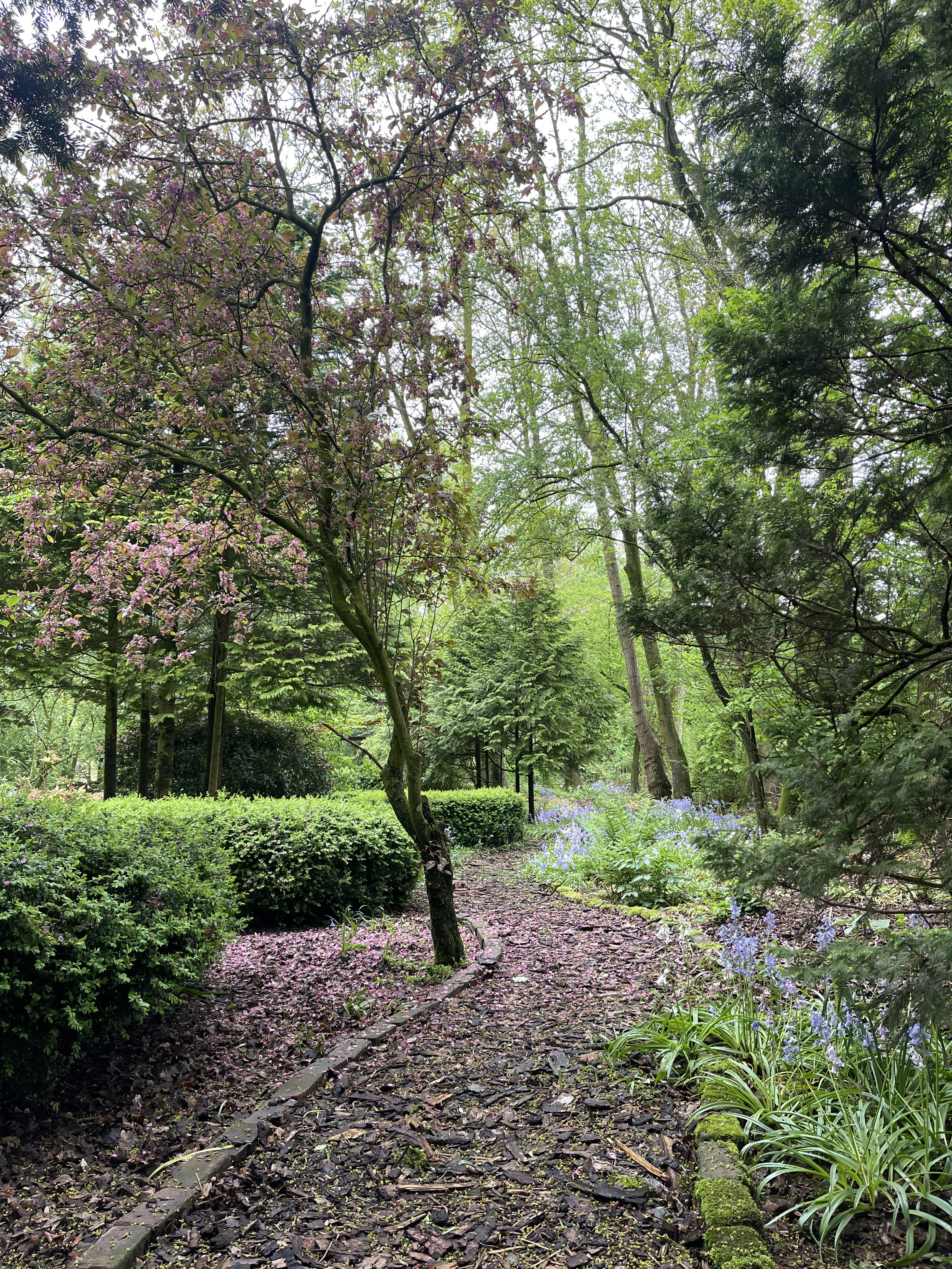 Maison nature à Ravenswoud