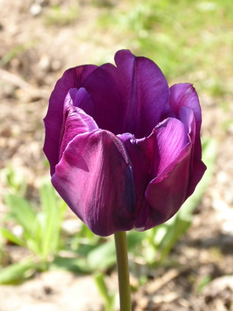 - image: 23