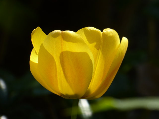 - image: 20