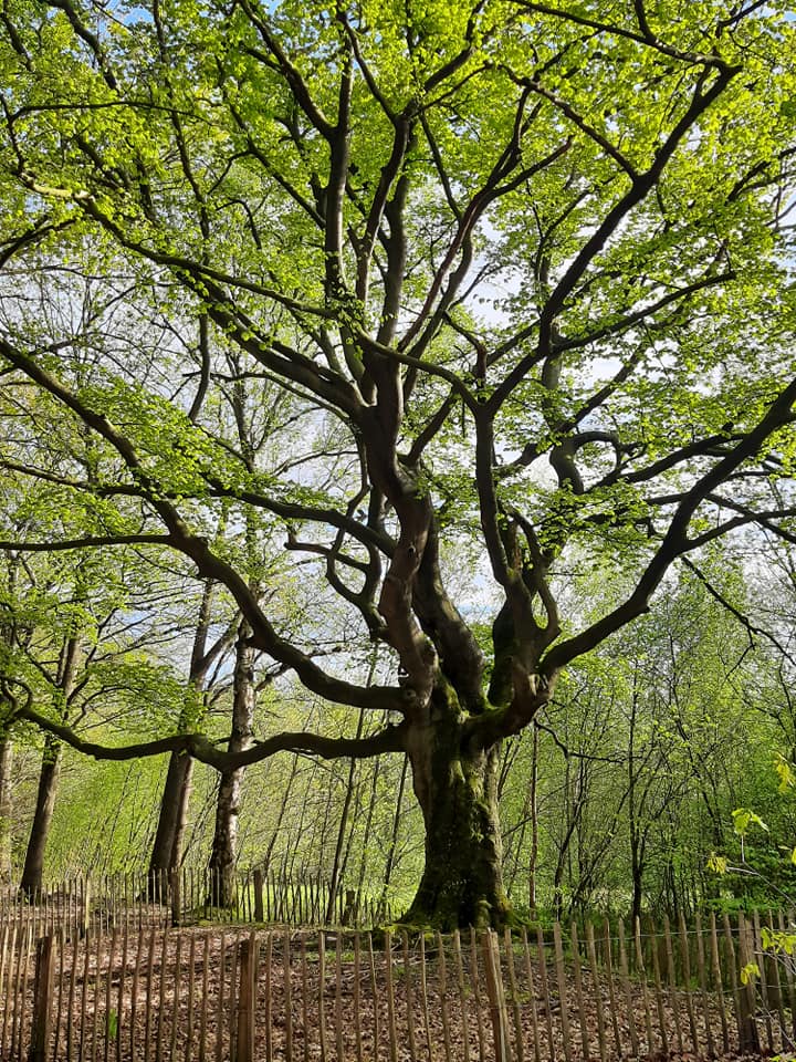Casa nella natura a Bladel
