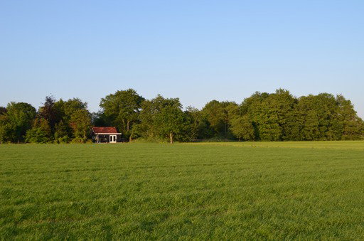 - image: 46
