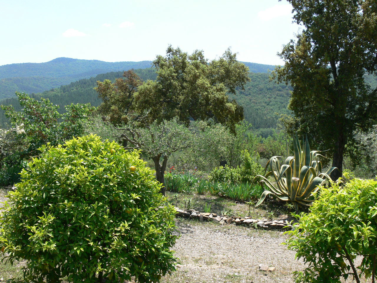 Nature house in CARNOULES