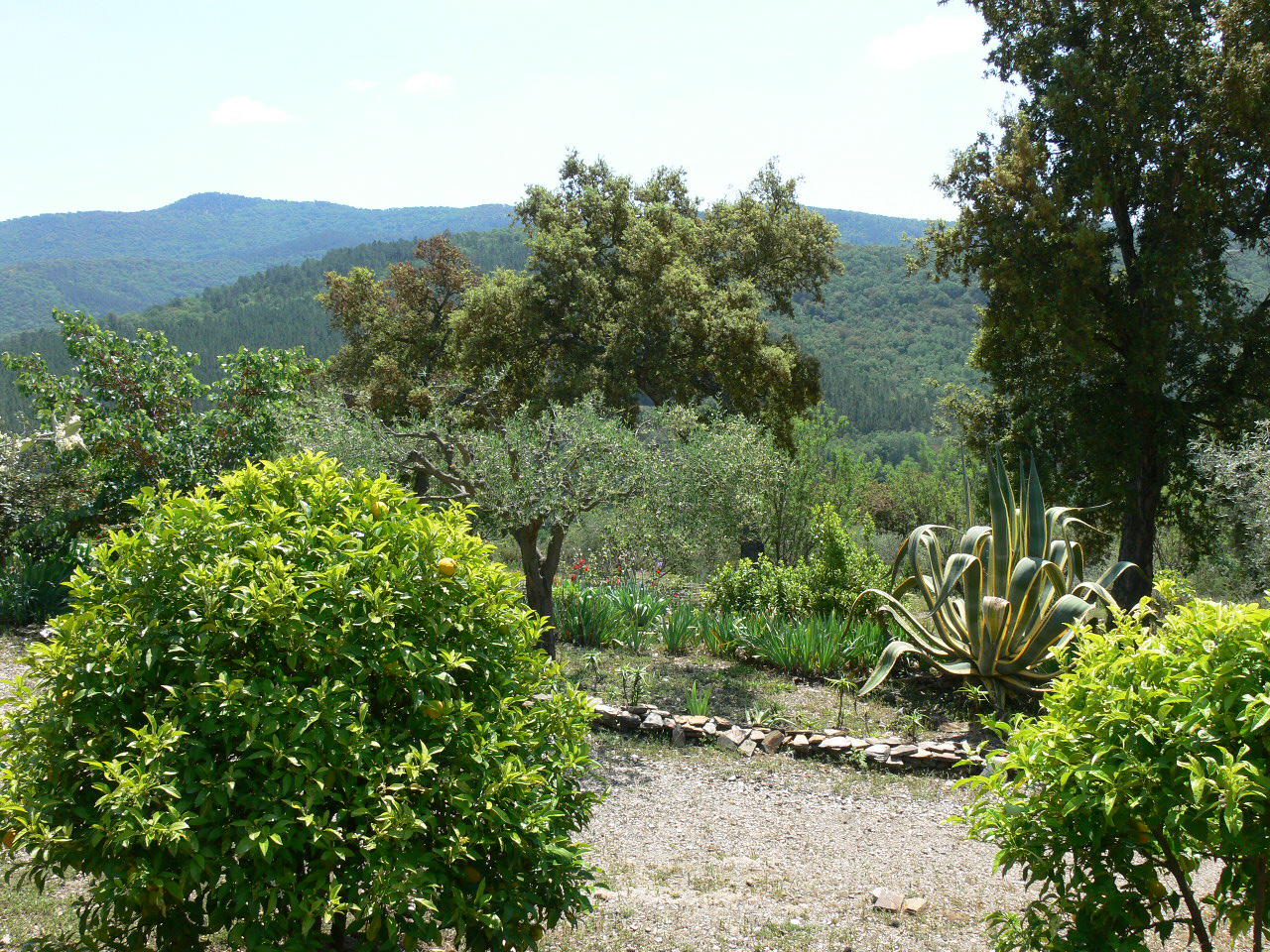 Nature house in CARNOULES