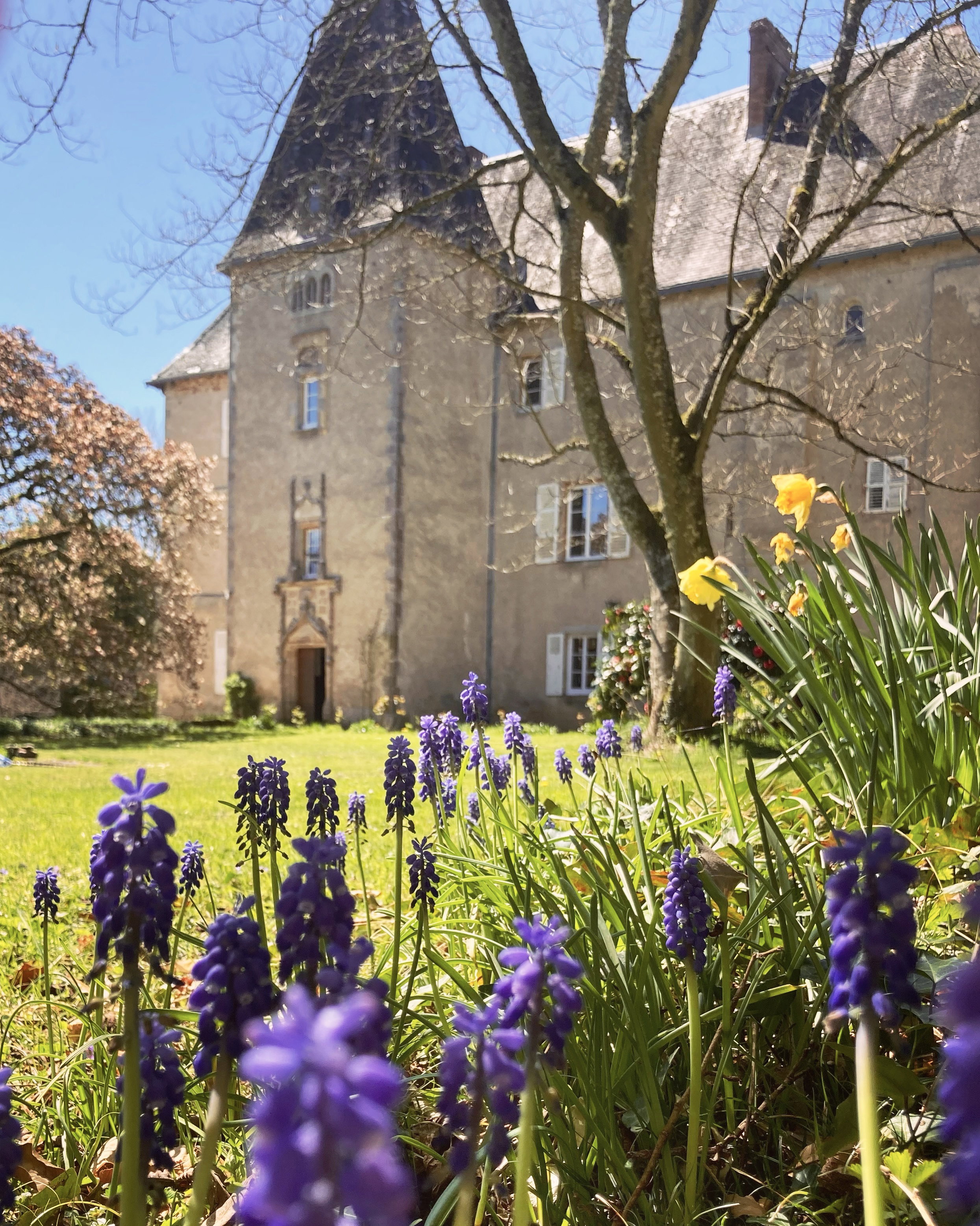 Maison nature à Saint-Priest-Ligoure