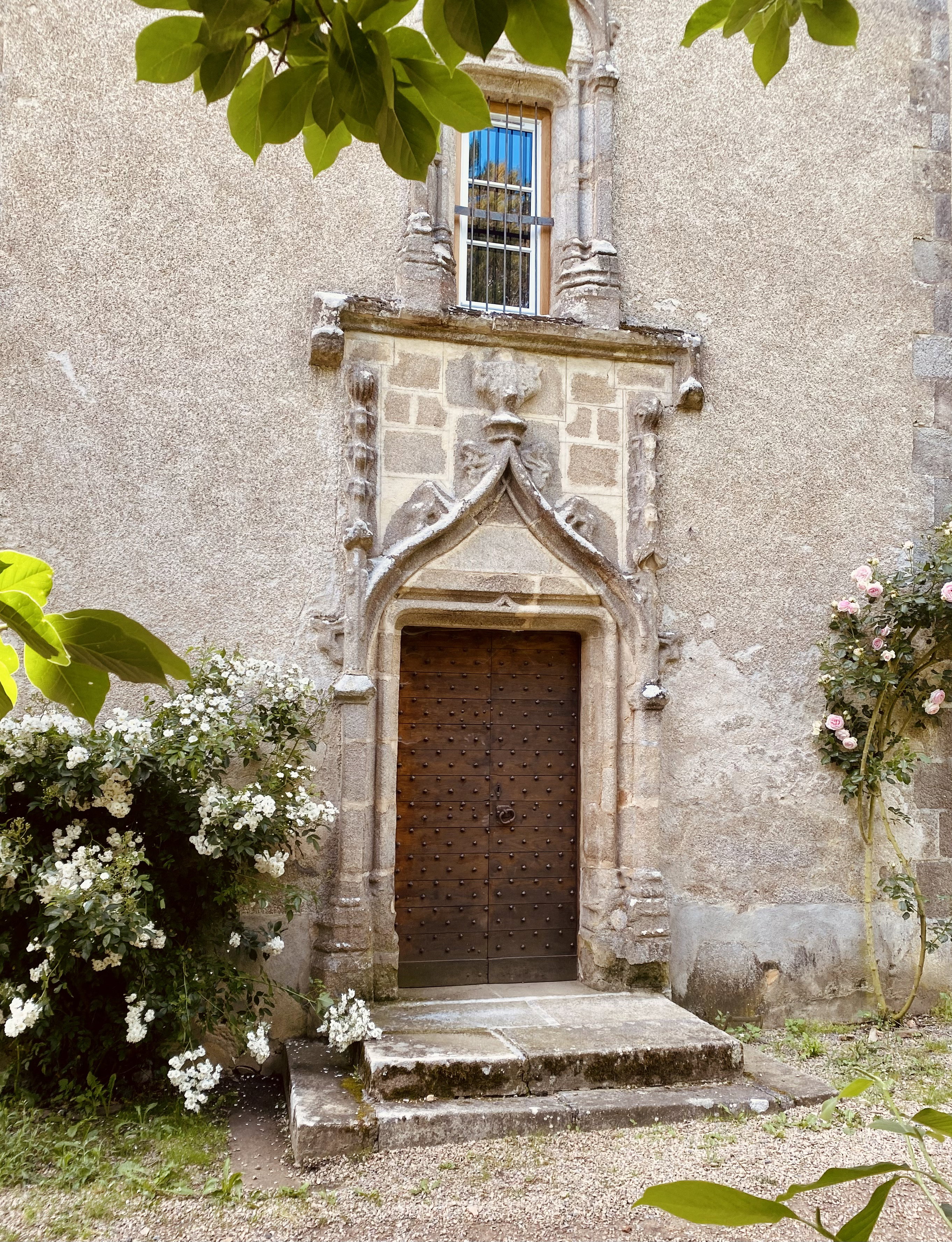 - image: 12