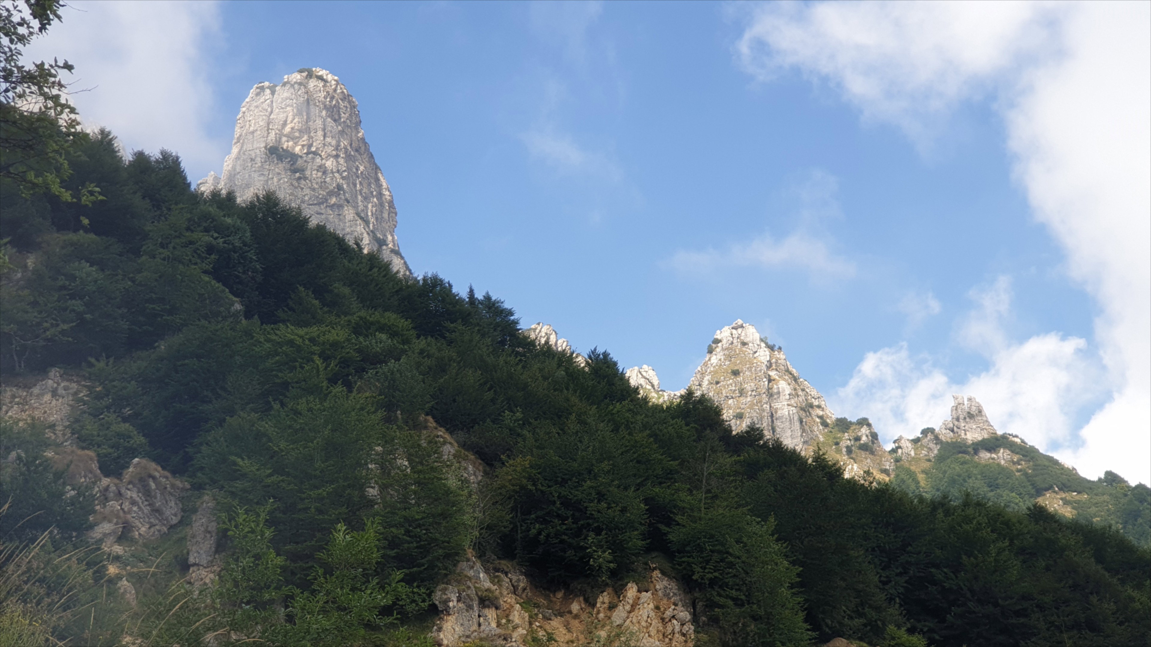 - image: 48