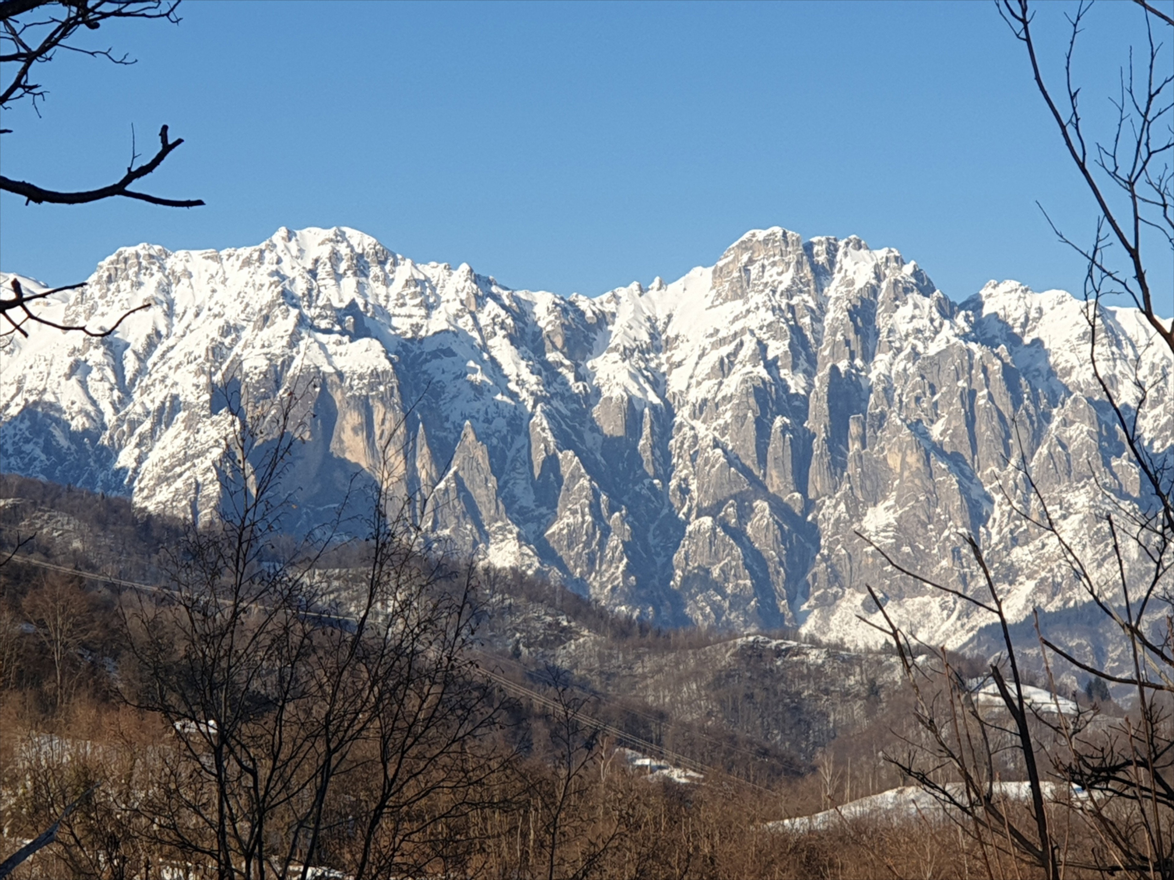 - image: 46