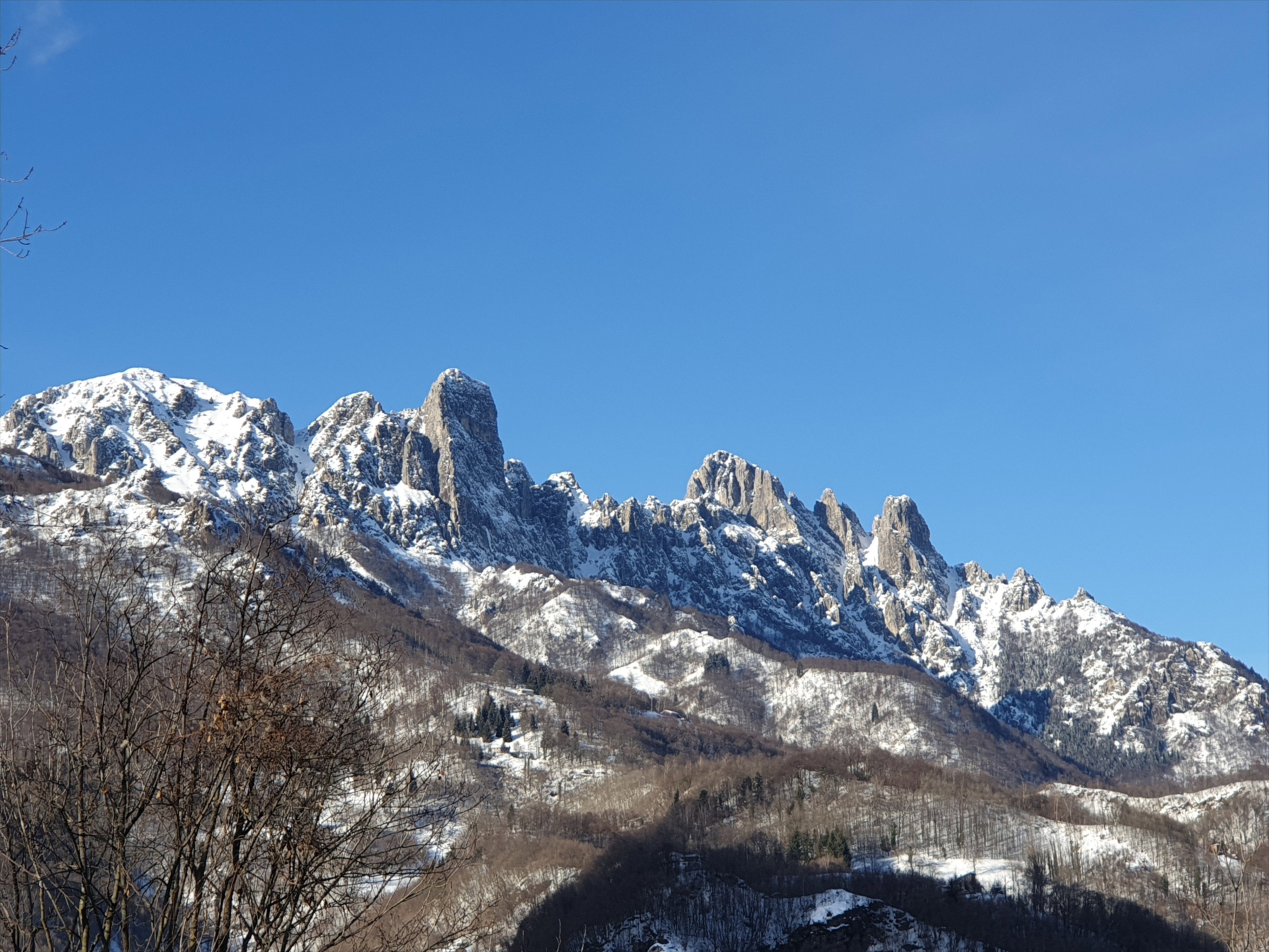 - image: 45