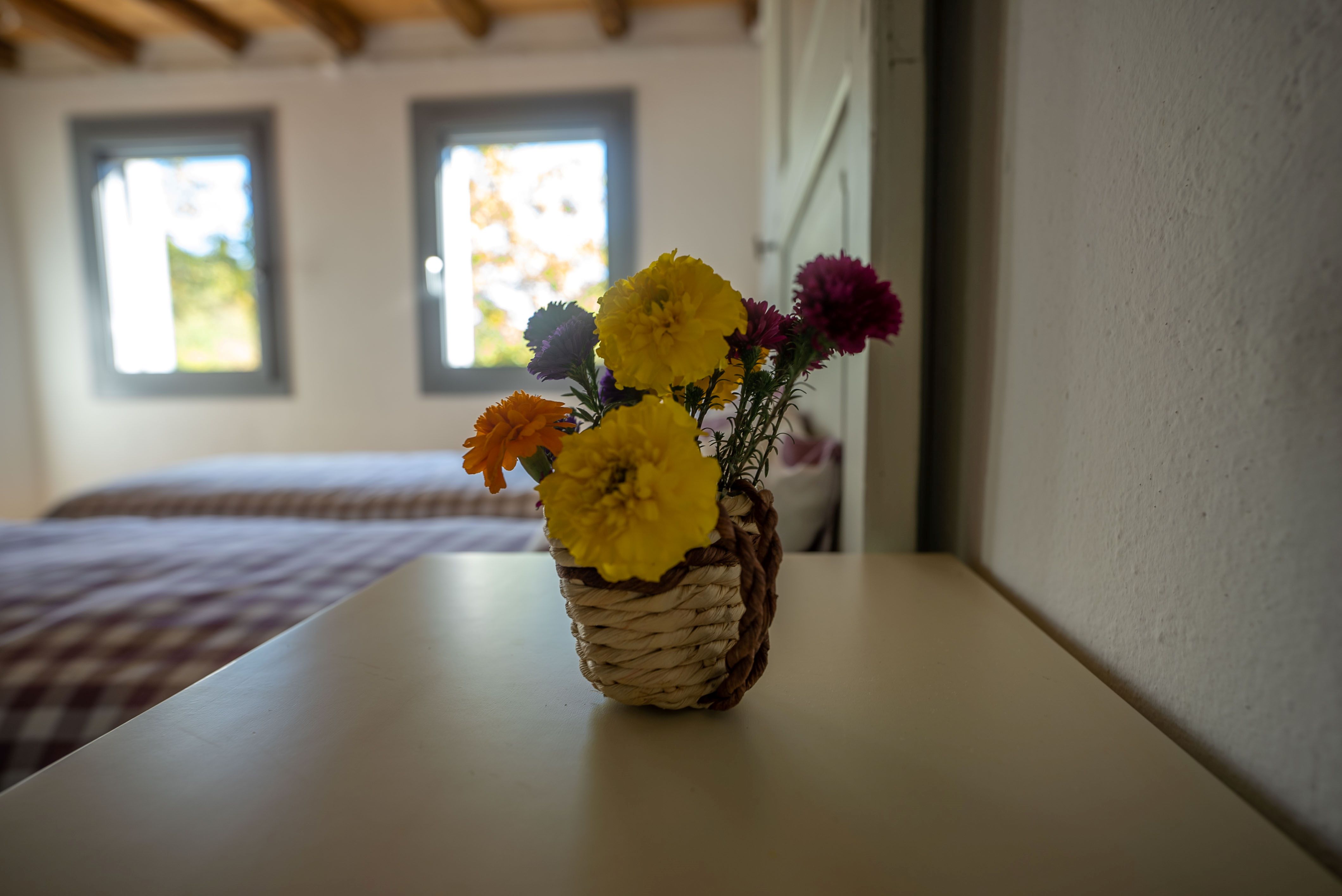 - image: 11