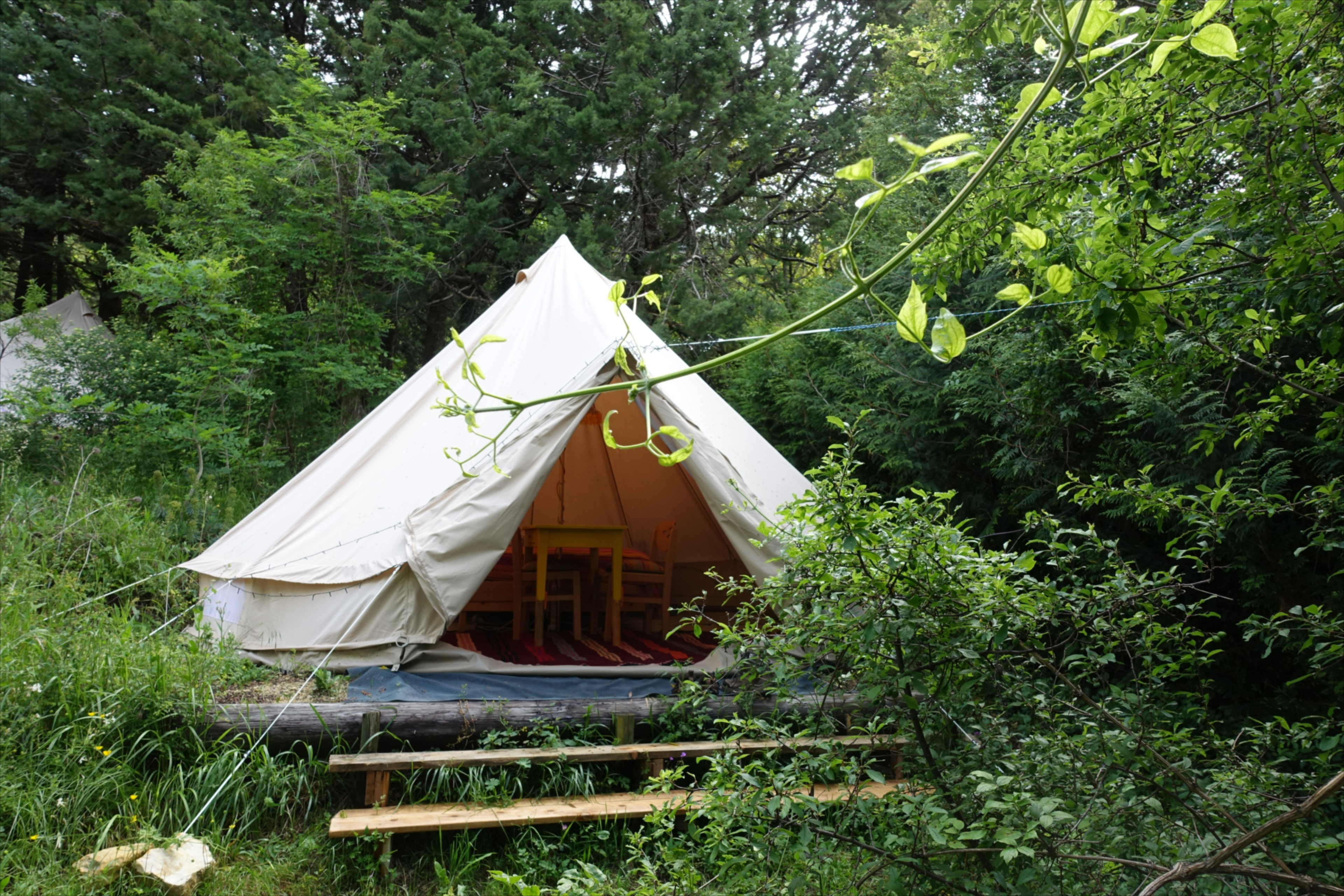 Natuurhuisje in Barret de Lioure