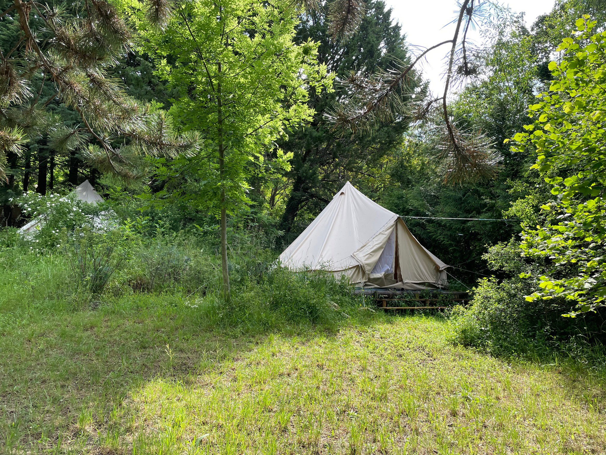 Natuurhuisje in Barret de Lioure