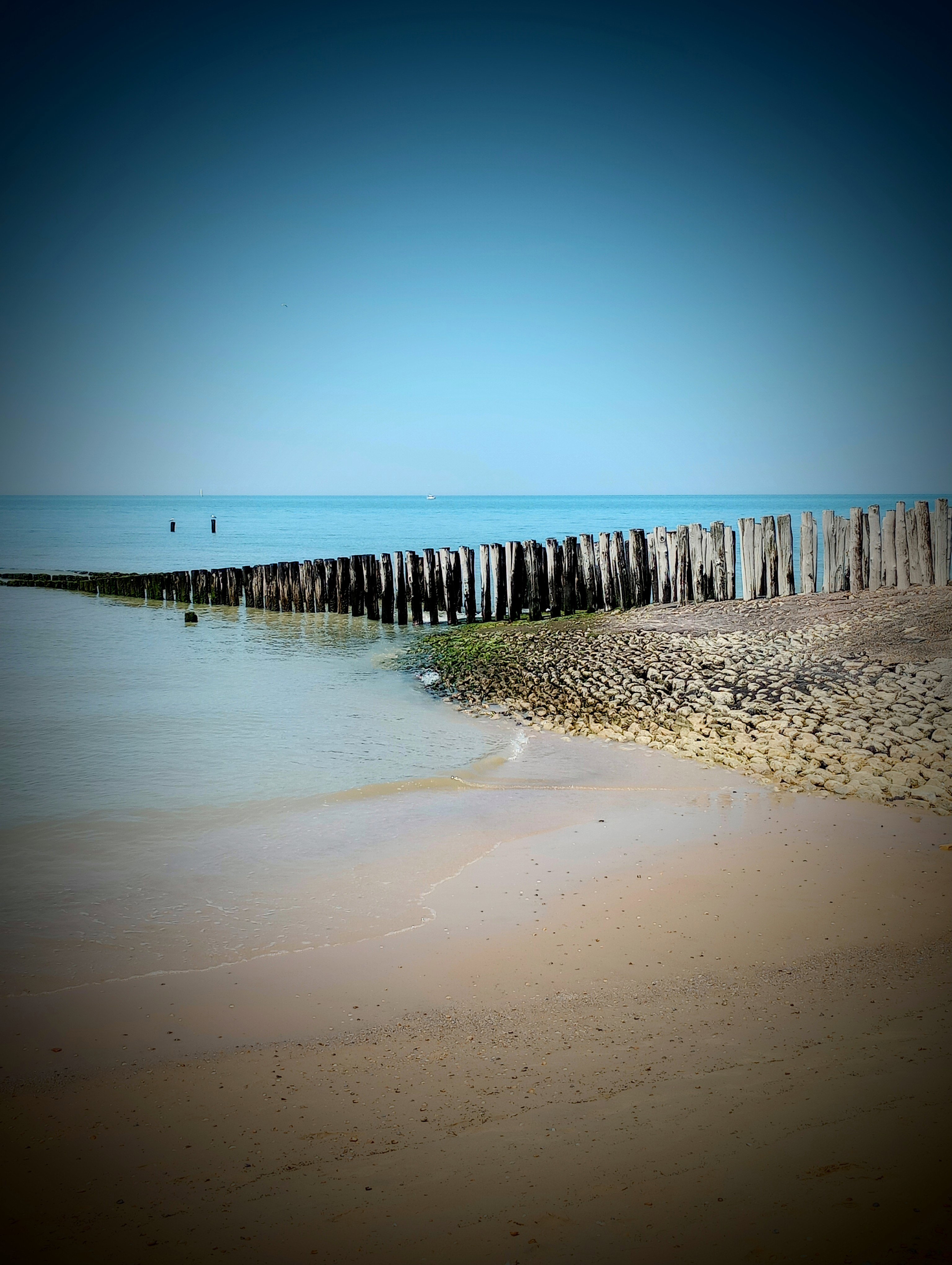 - image: 16