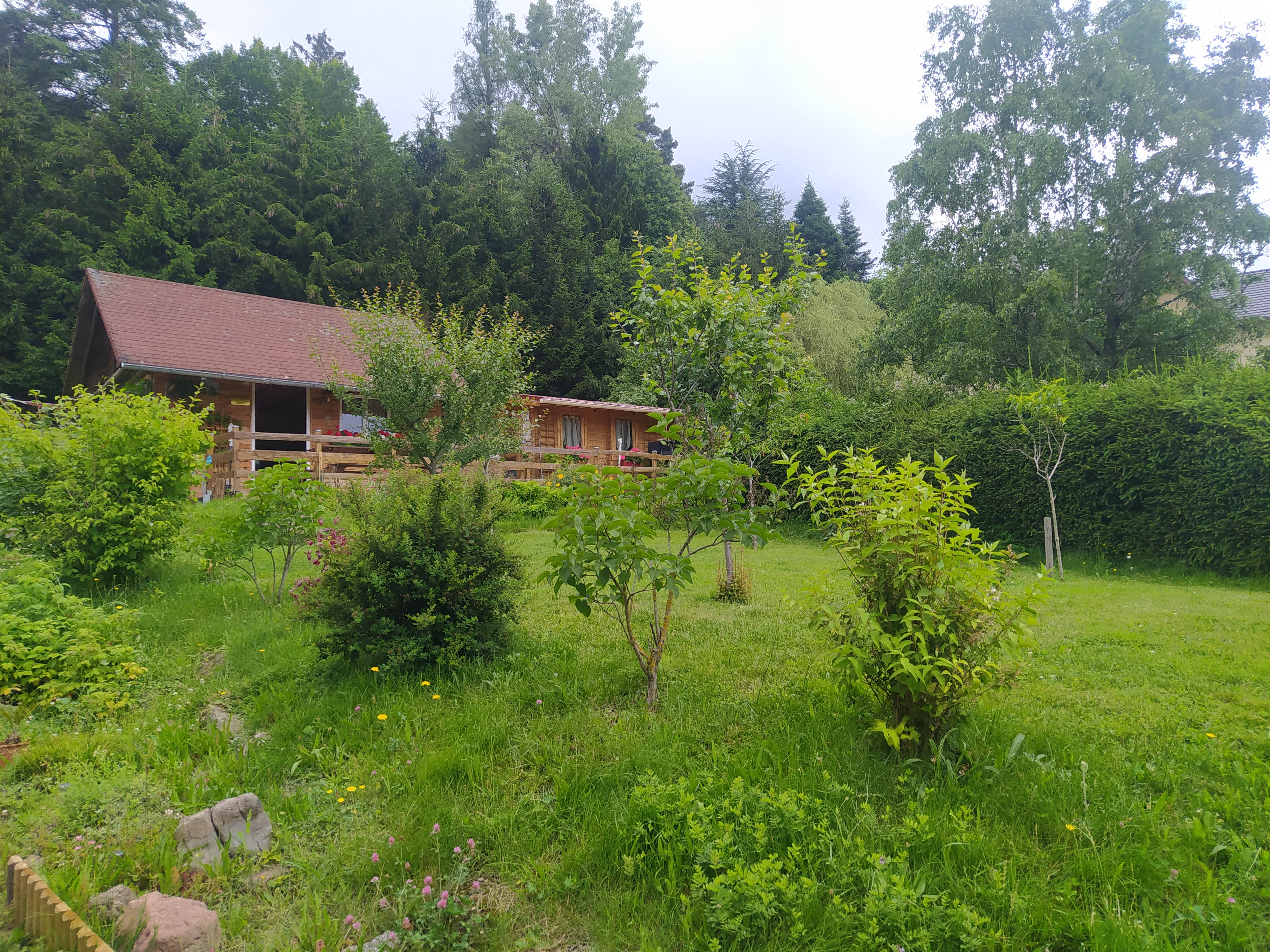 Natuurhuisje in Wangenbourg- Schneethal