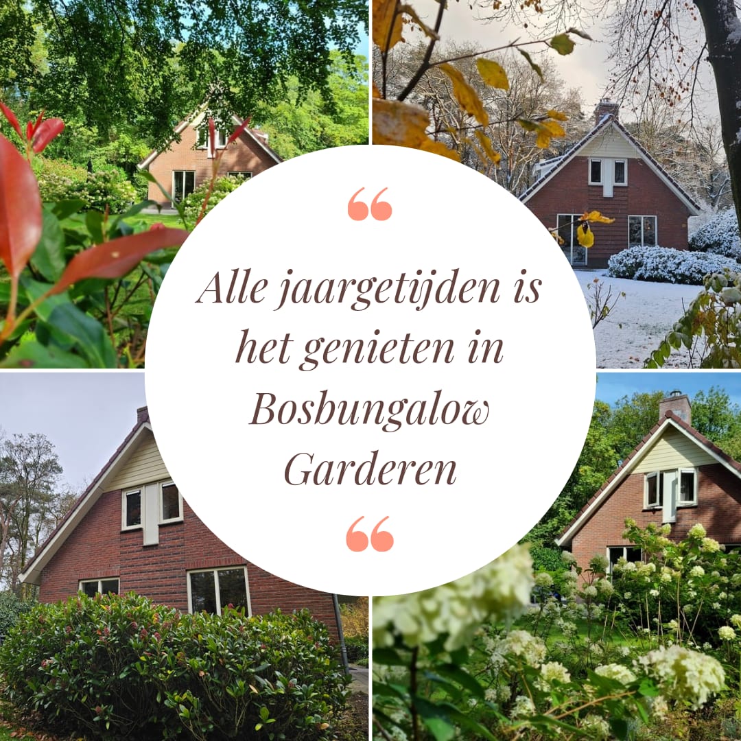 - image: 74