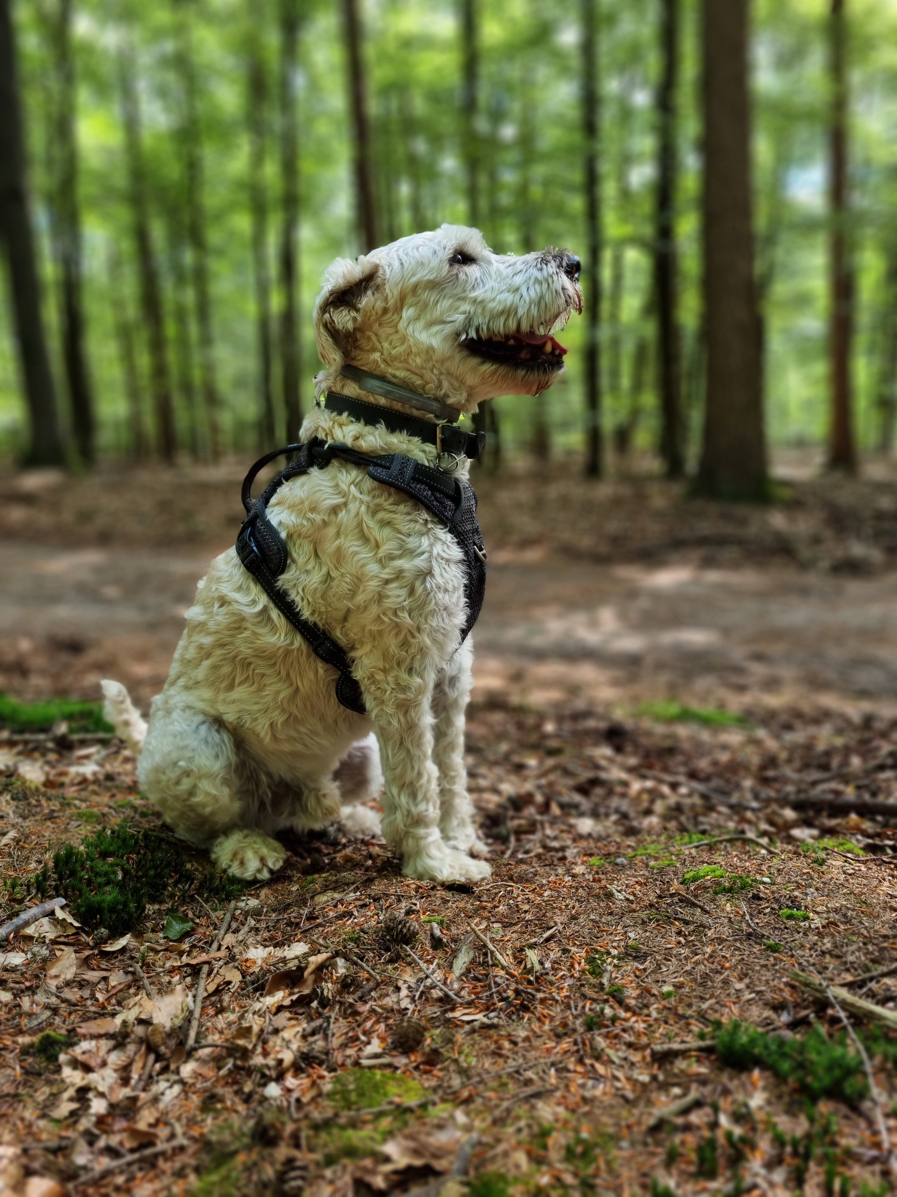 - image: 22