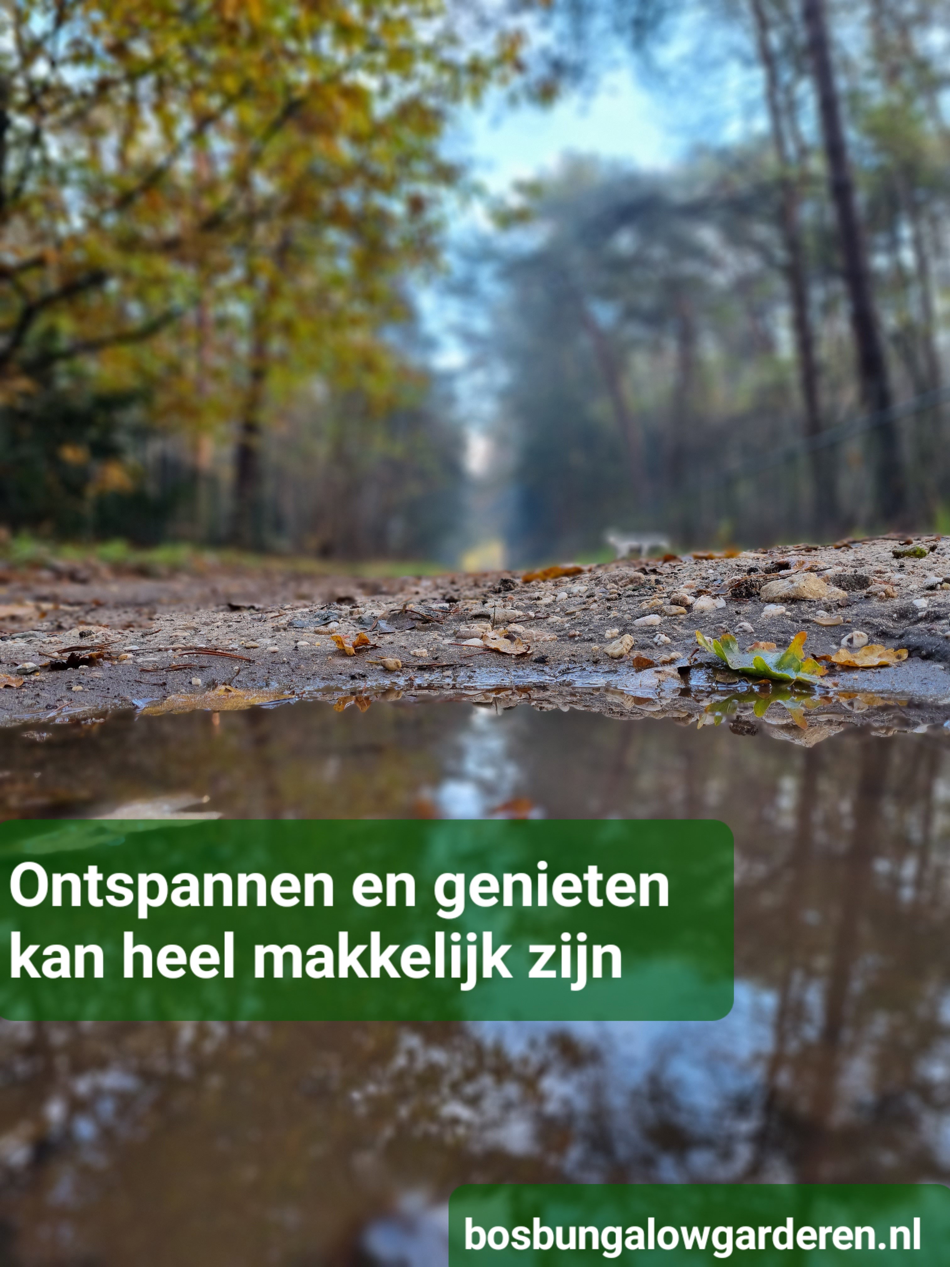 - image: 55