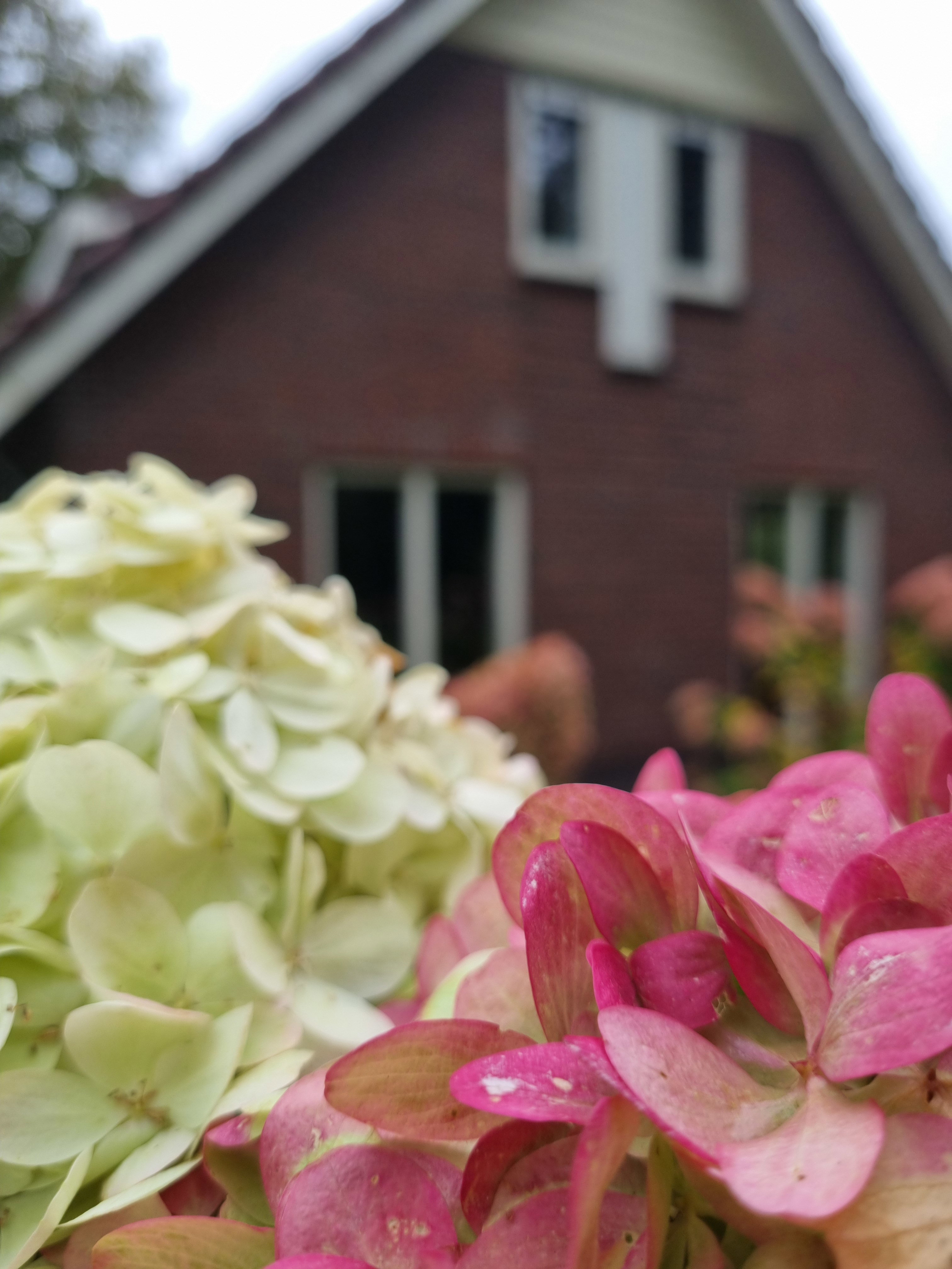Casa nella natura a Garderen