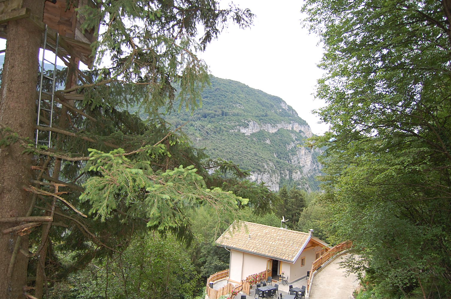 - image: 13