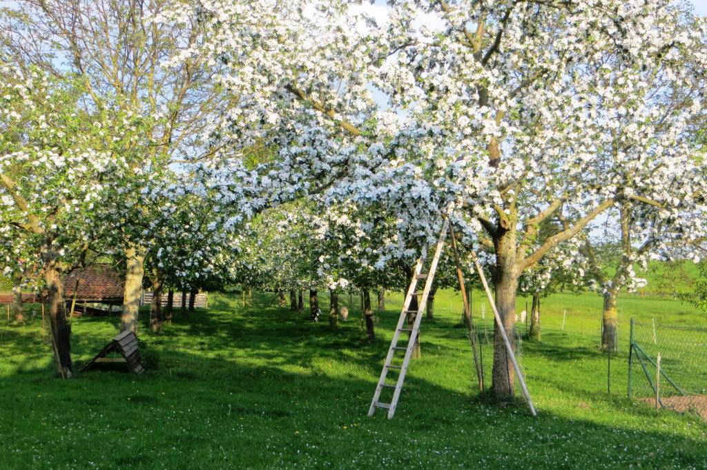 Naturhäuschen in Neu Bleckede