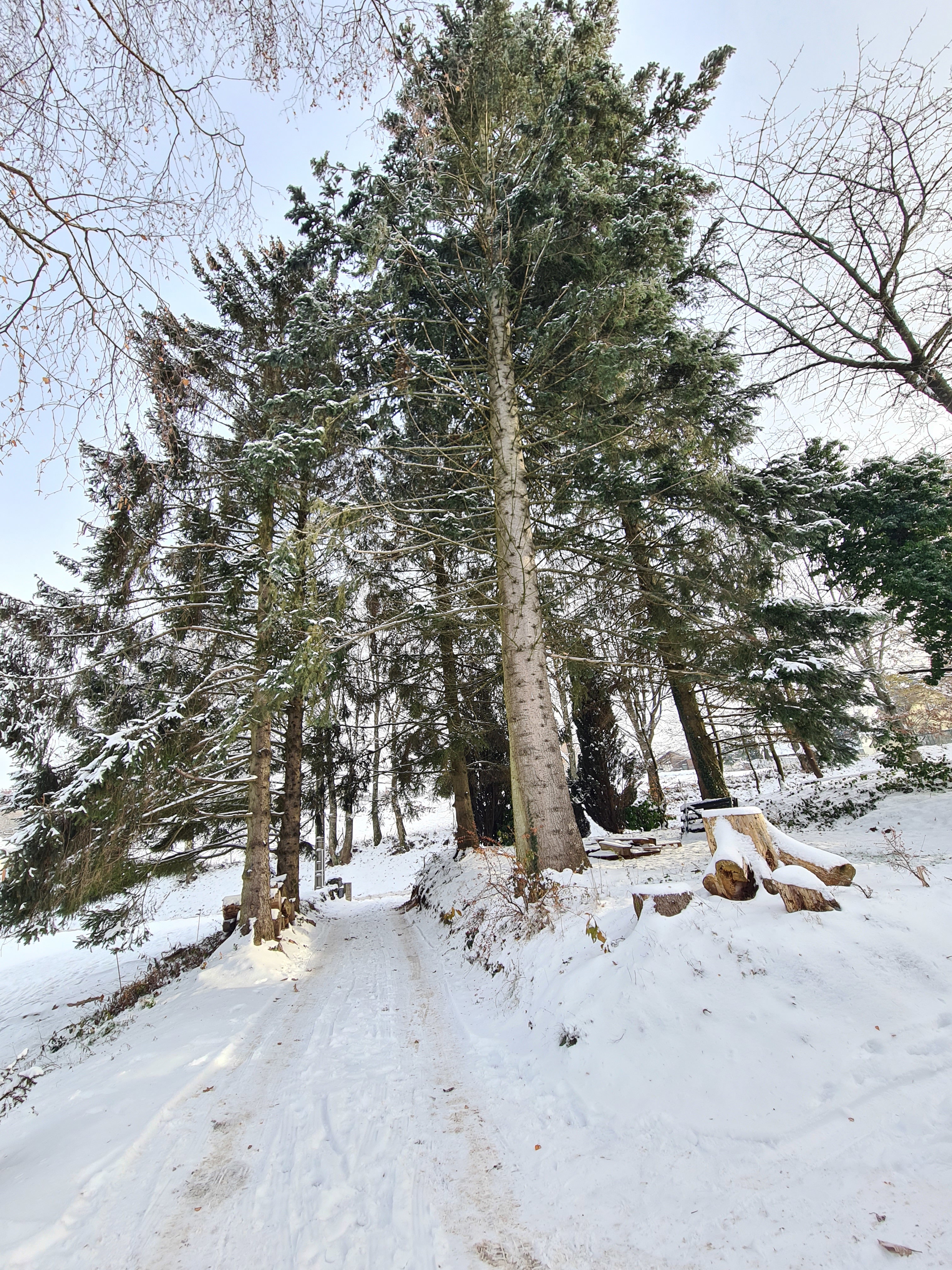 - image: 19