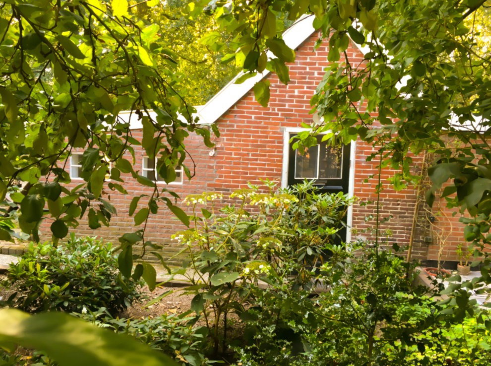 Naturhäuschen in Haarlo