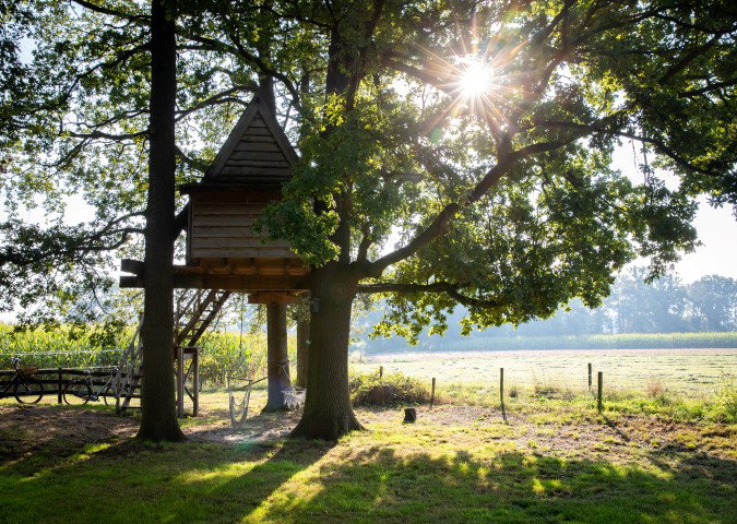 Naturhäuschen in Haarlo