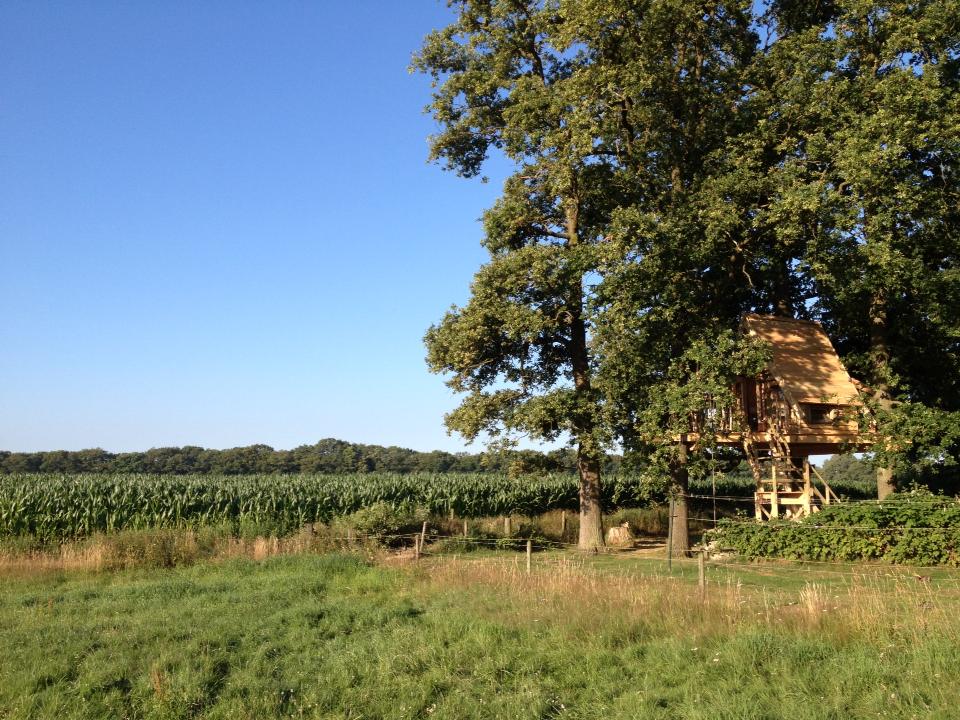 Naturhäuschen in Haarlo